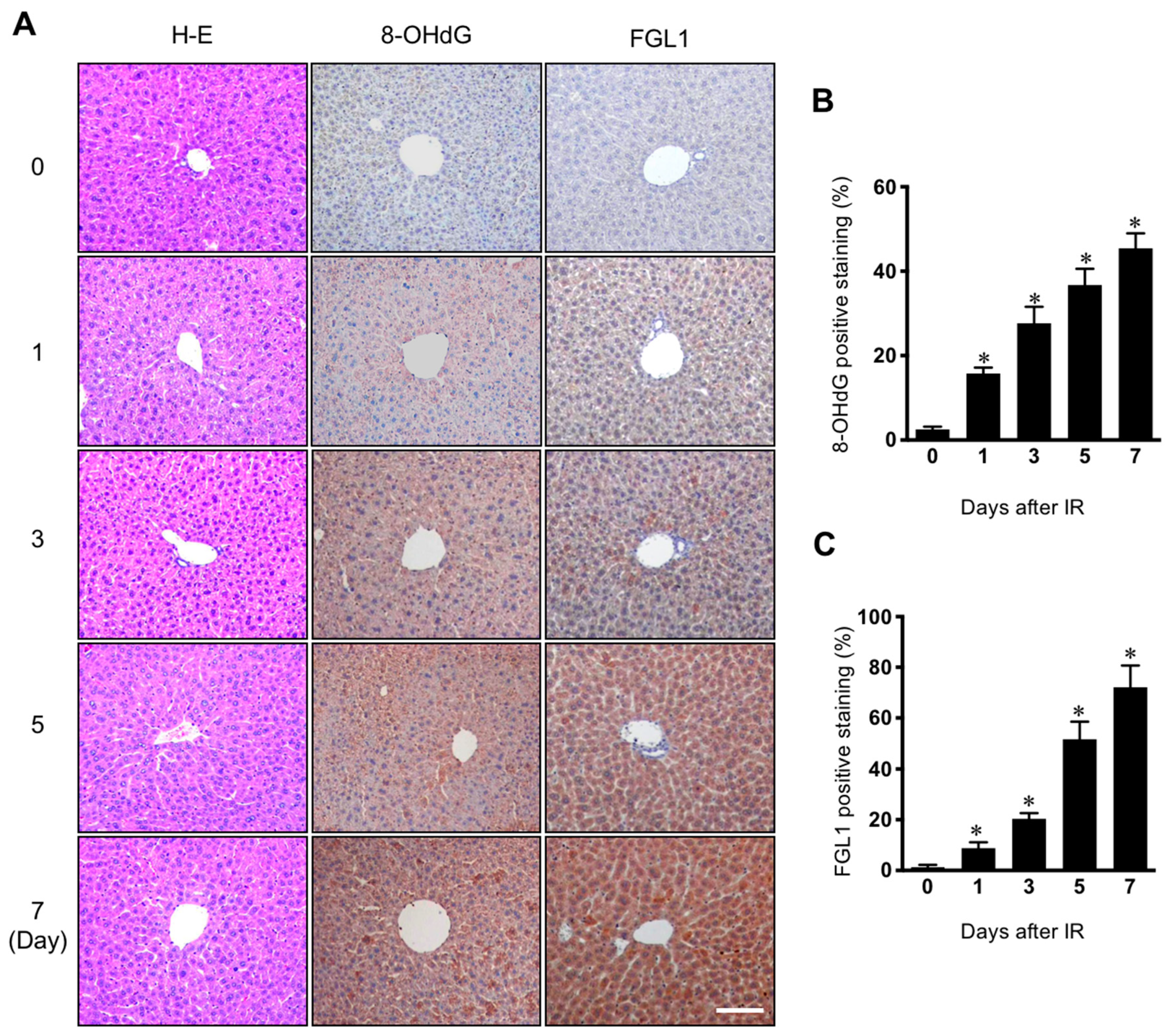 Cells 08 01042 g002