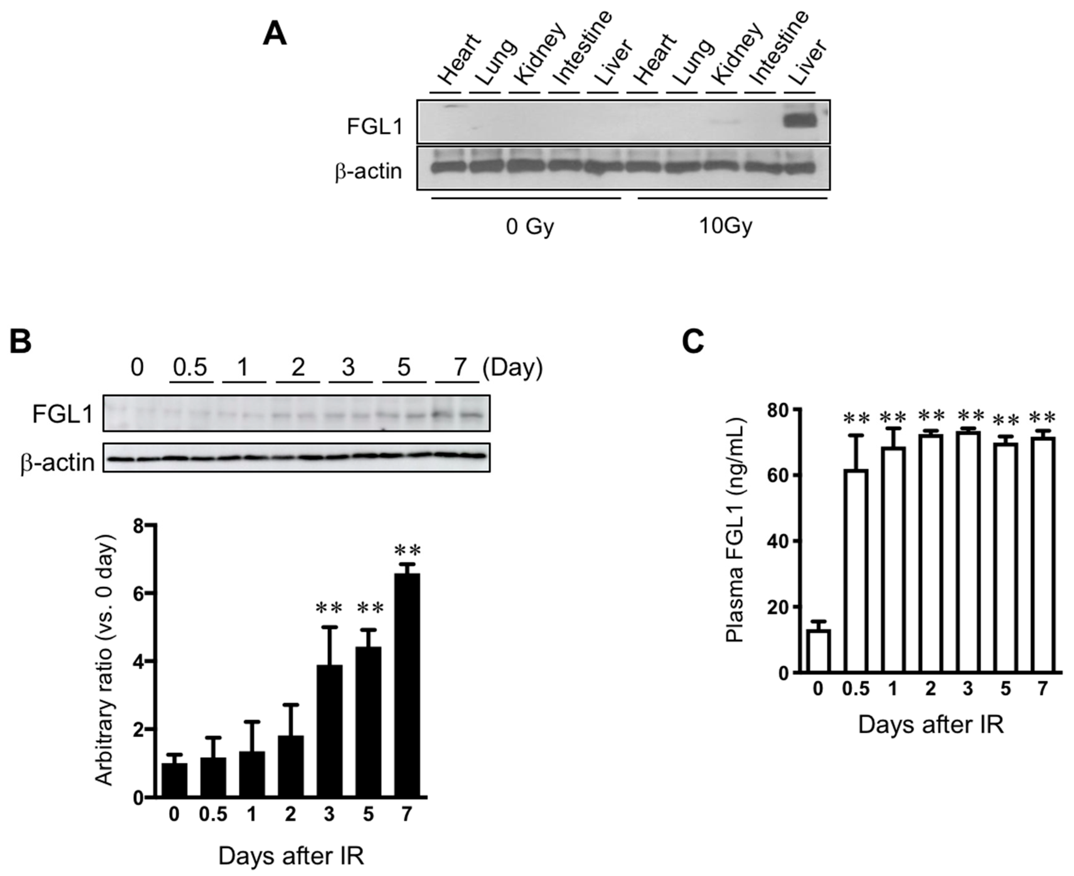 Cells 08 01042 g005