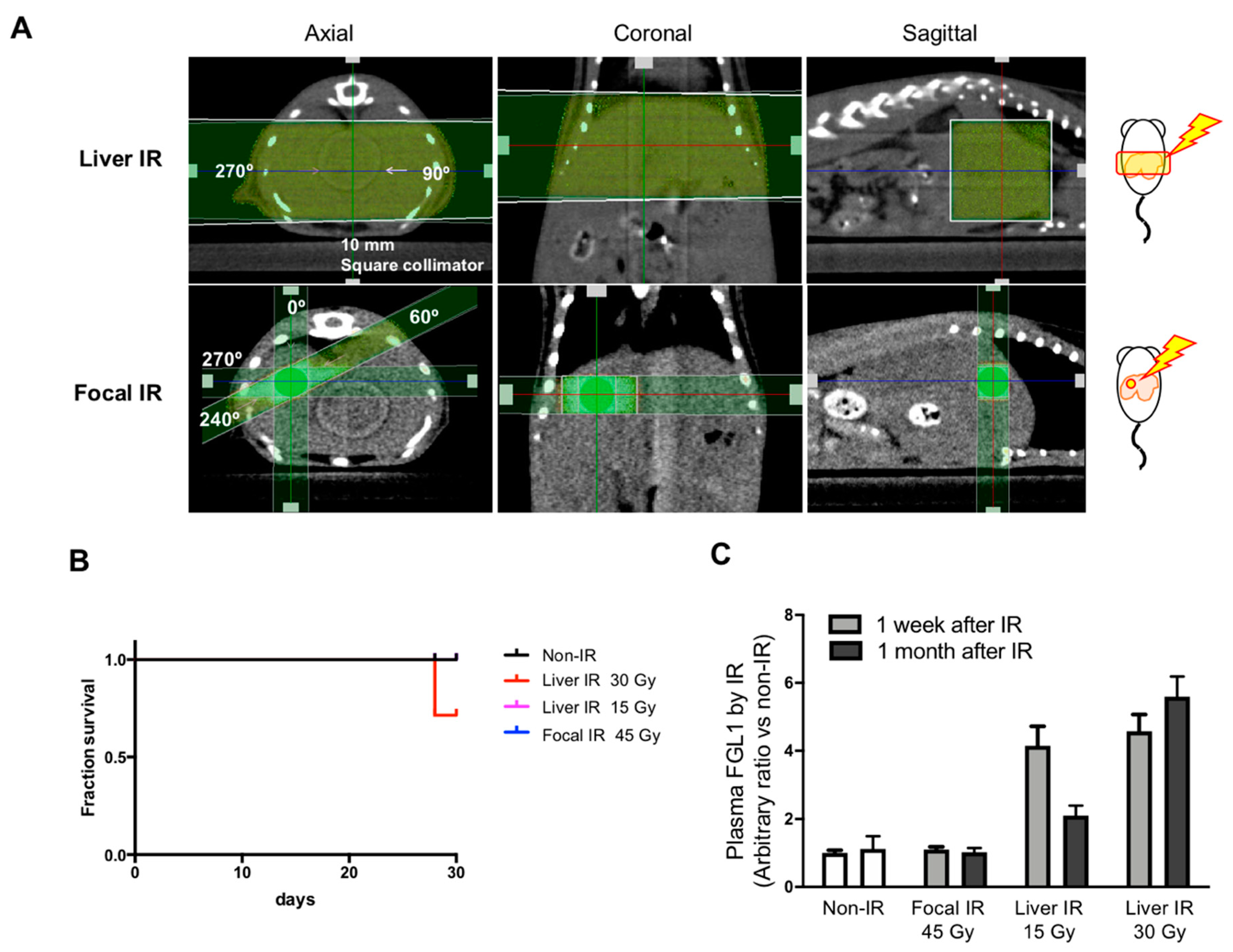 Cells 08 01042 g007
