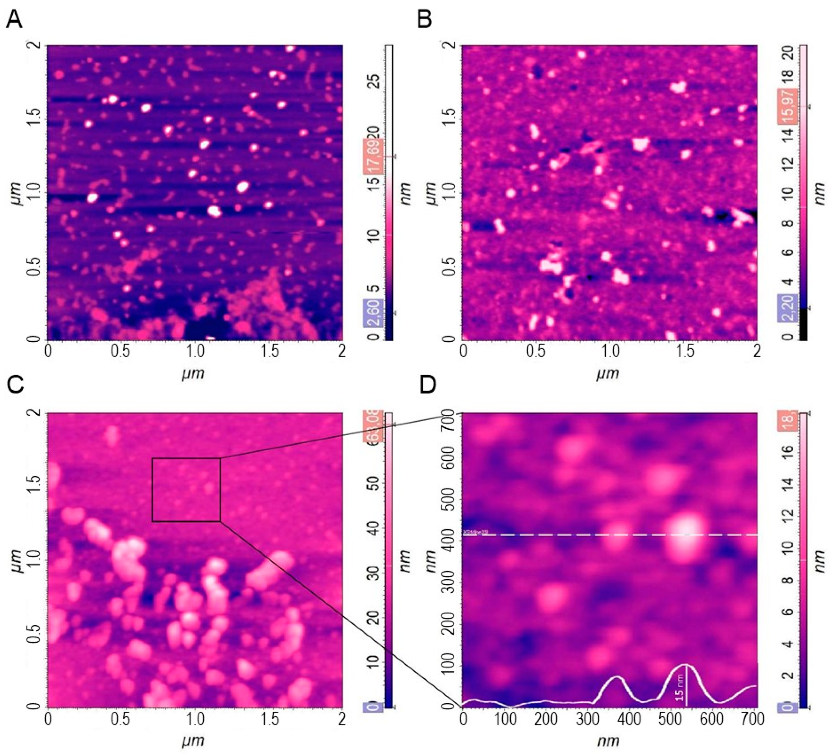 Cells 08 01046 g001