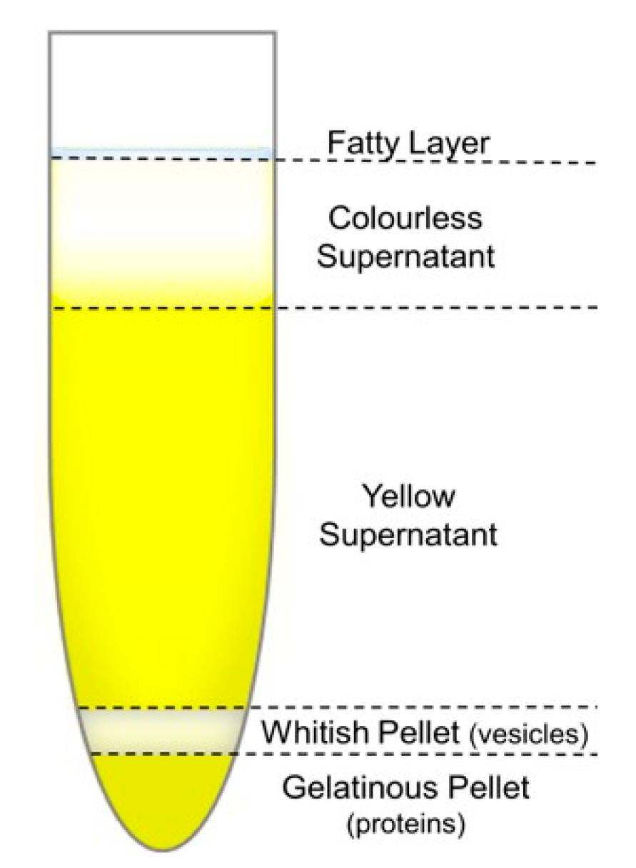 Cells 08 01046 g006
