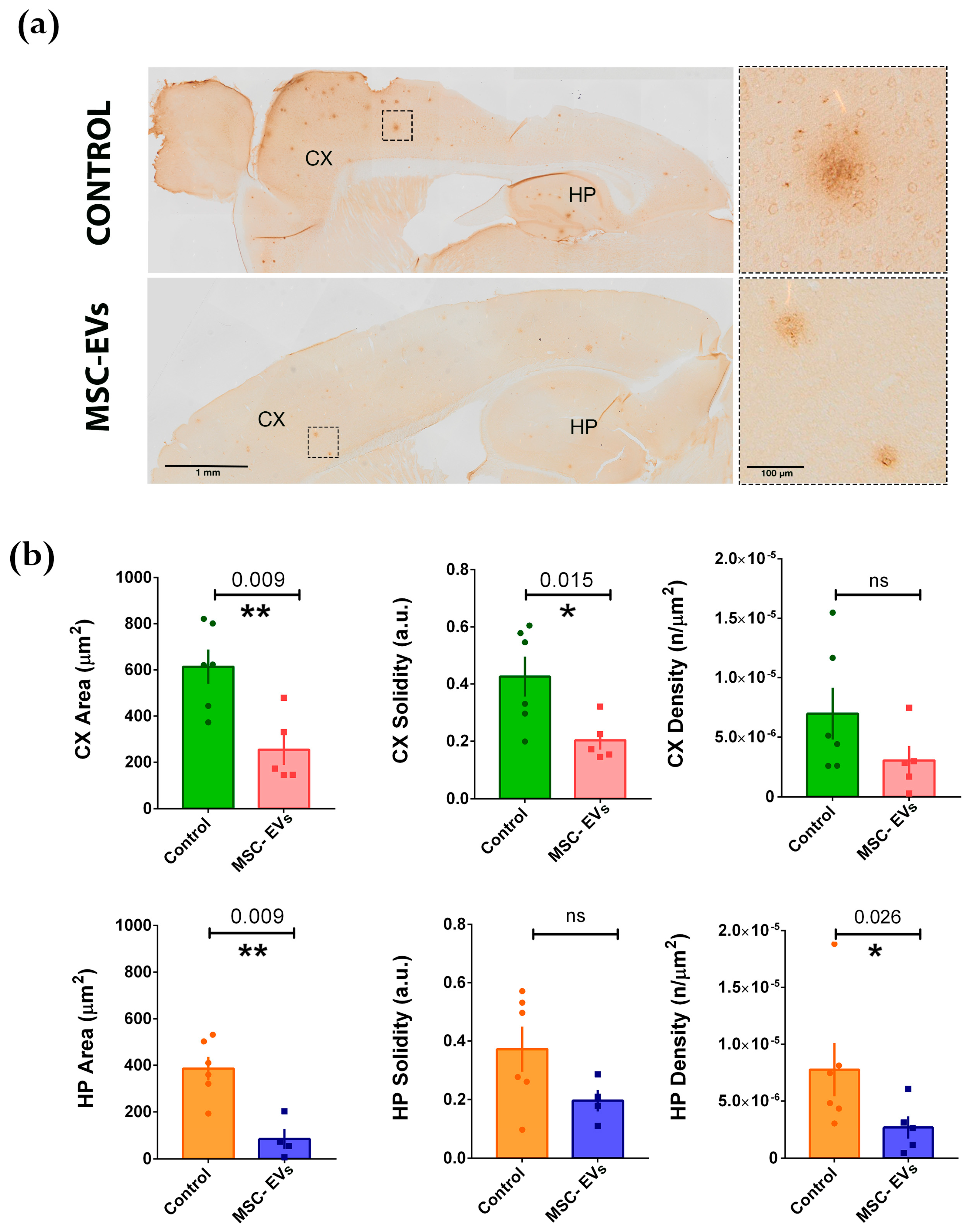 Cells 08 01059 g003