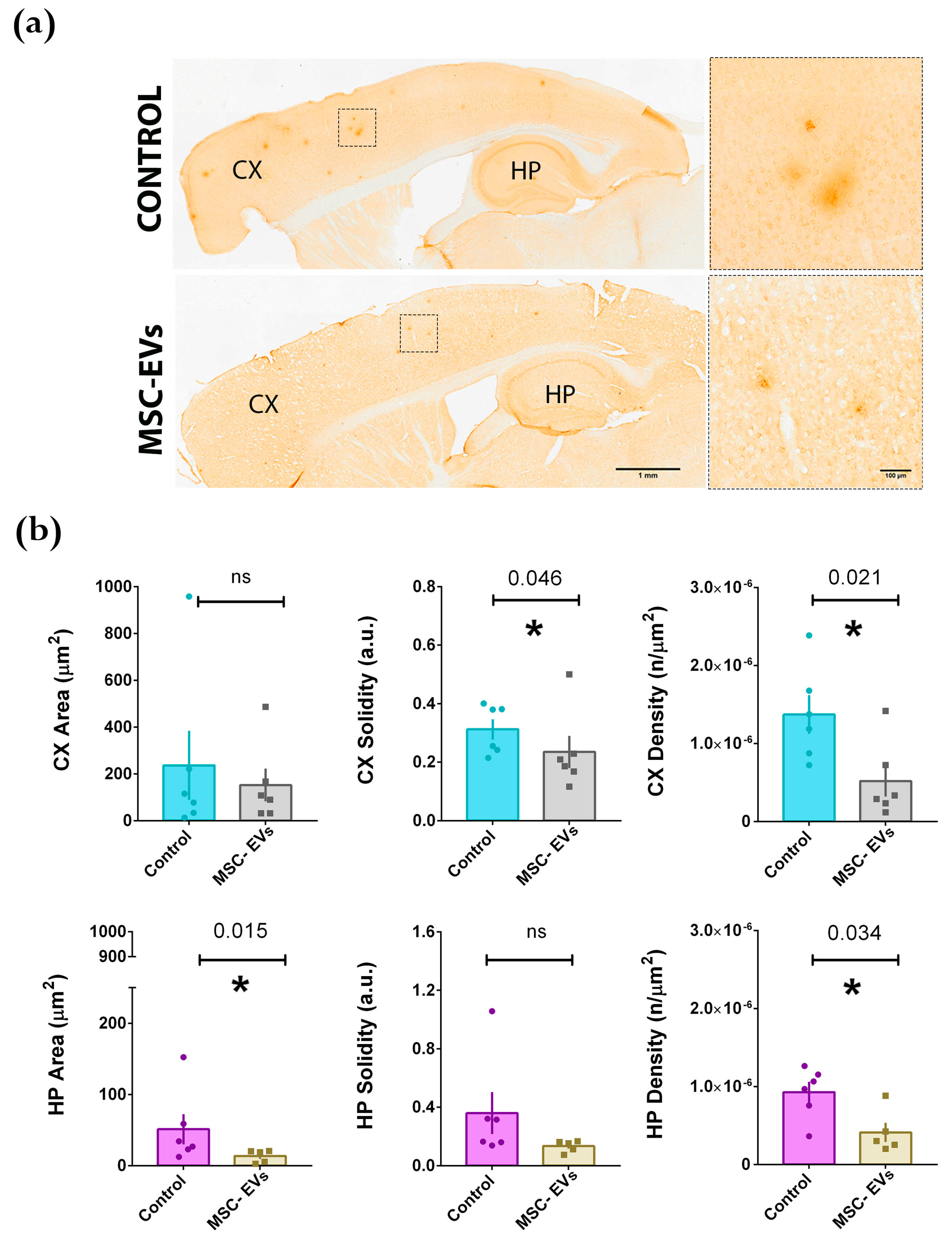 Cells 08 01059 g004