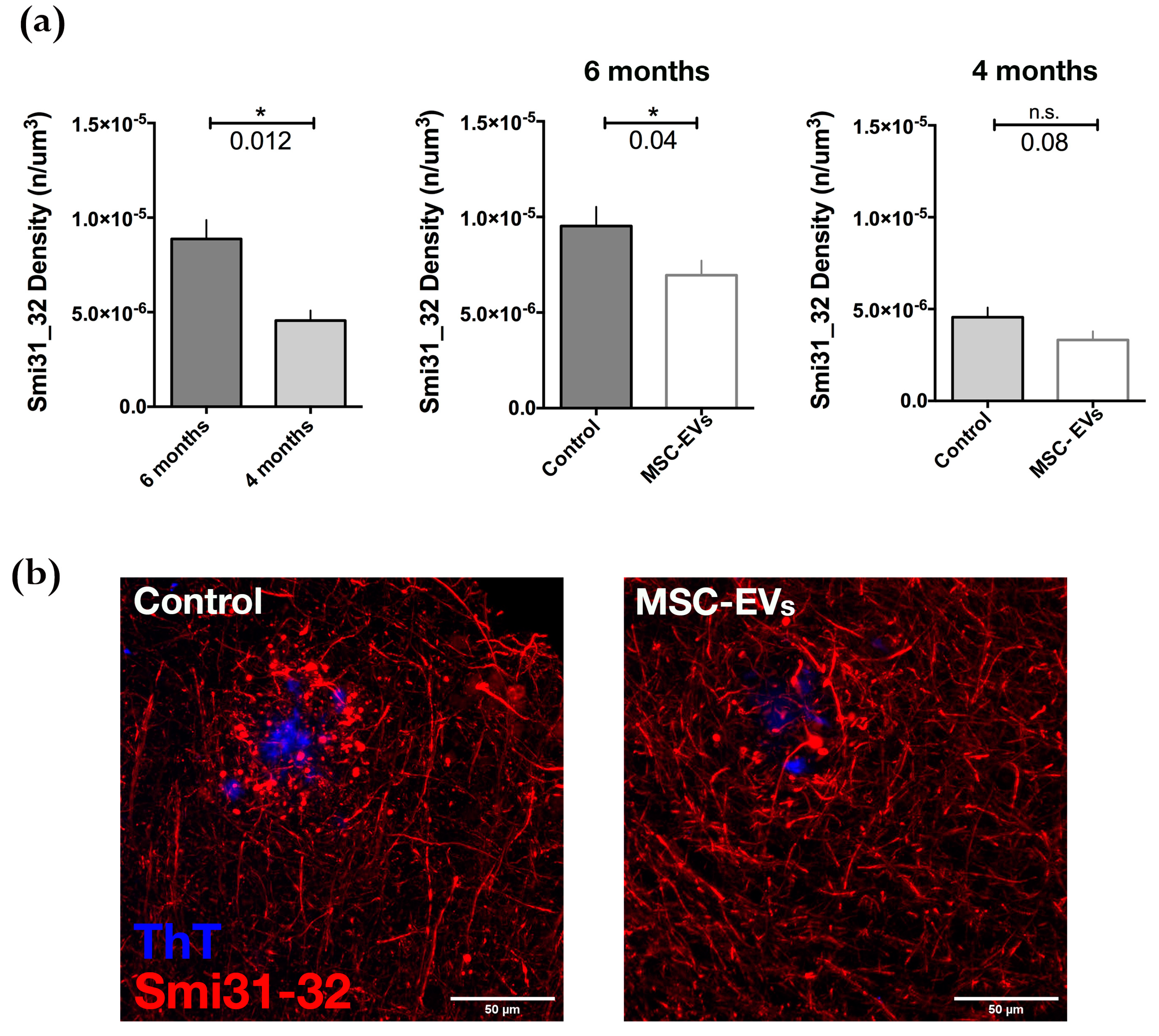 Cells 08 01059 g005