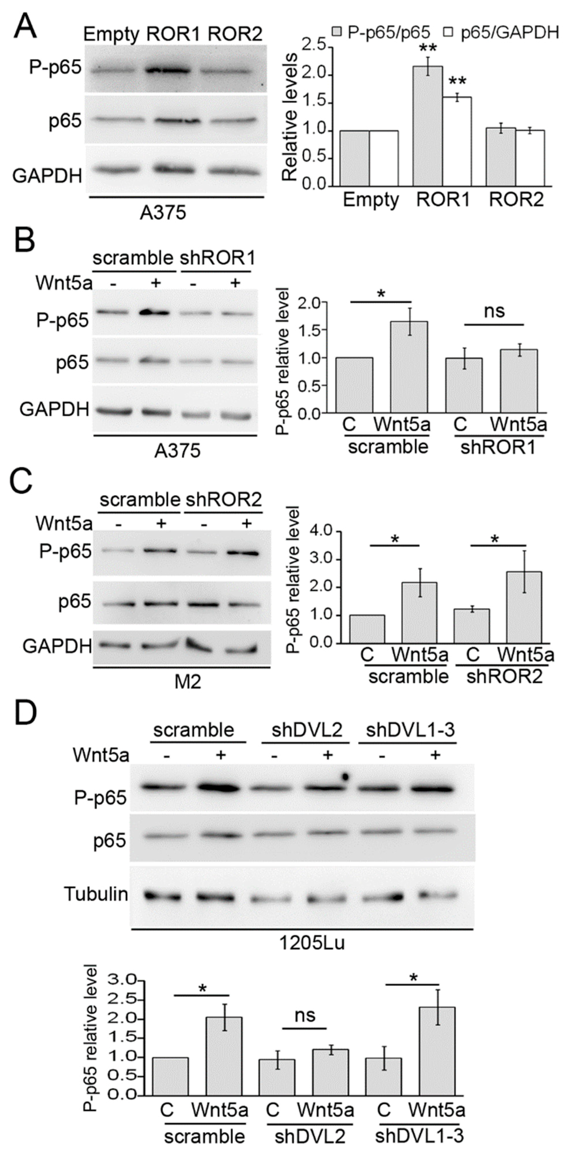 Cells 08 01060 g002 Cells 08 01060 g002
