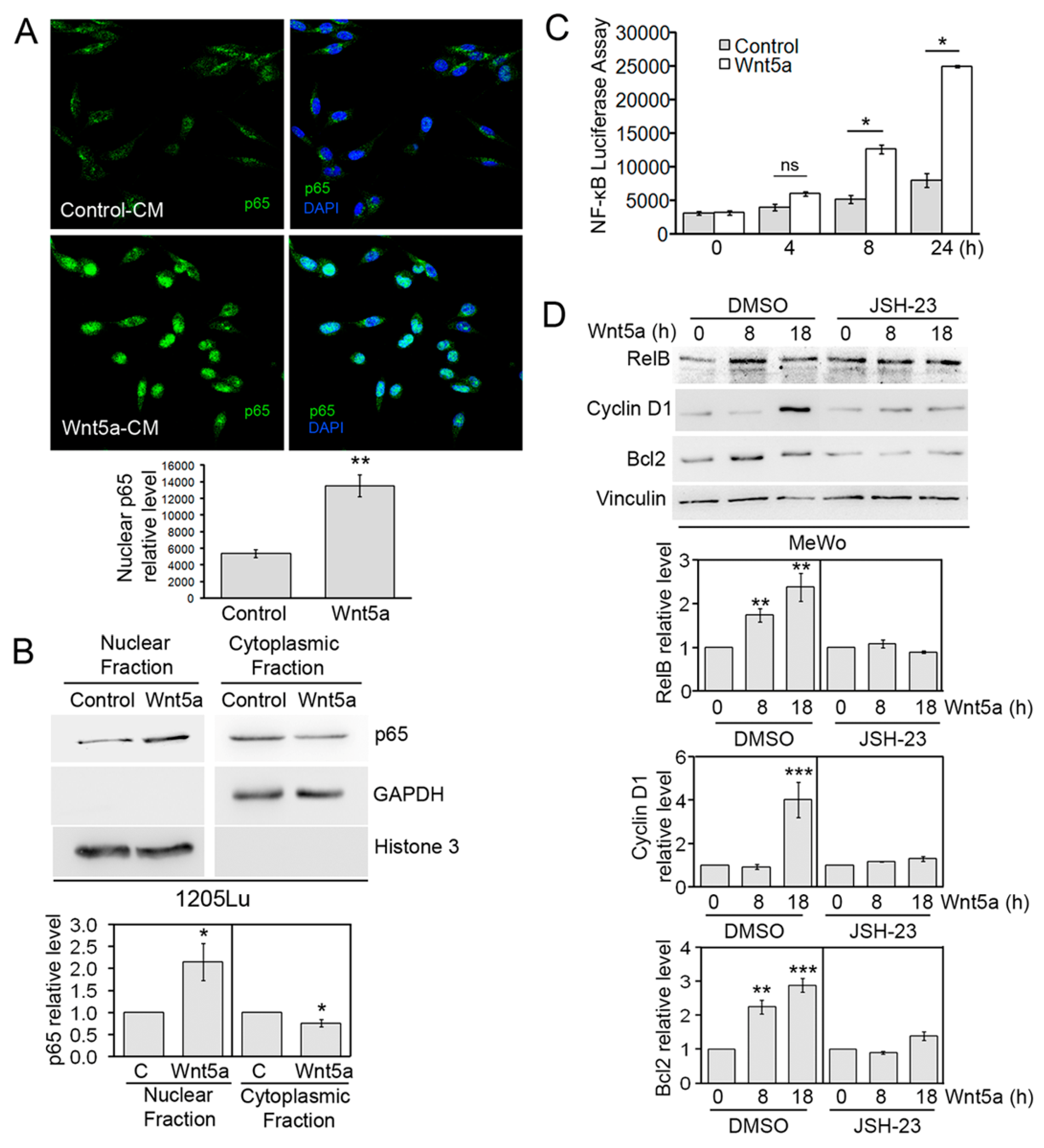Cells 08 01060 g005 Cells 08 01060 g005