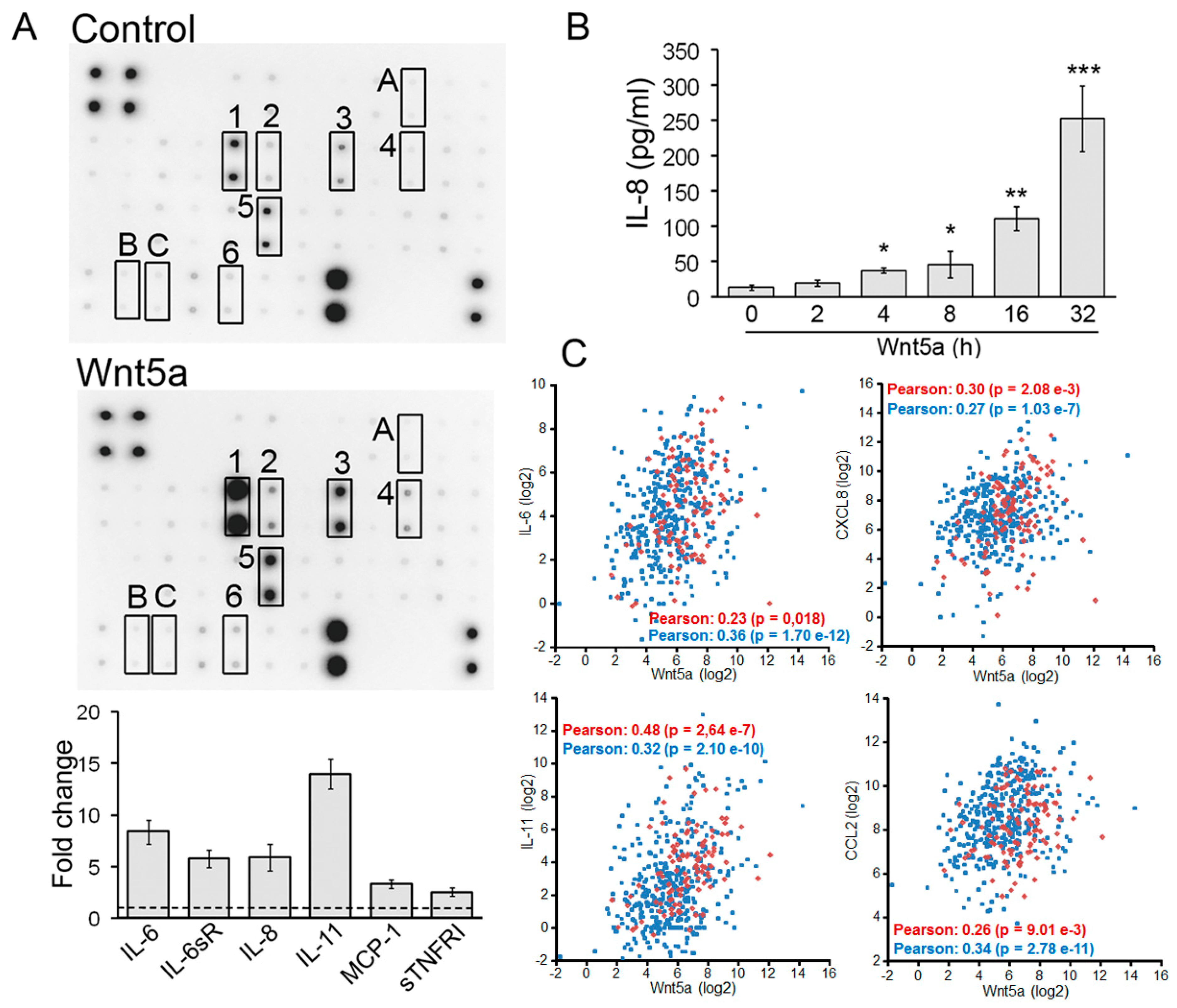 Cells 08 01060 g006 Cells 08 01060 g006