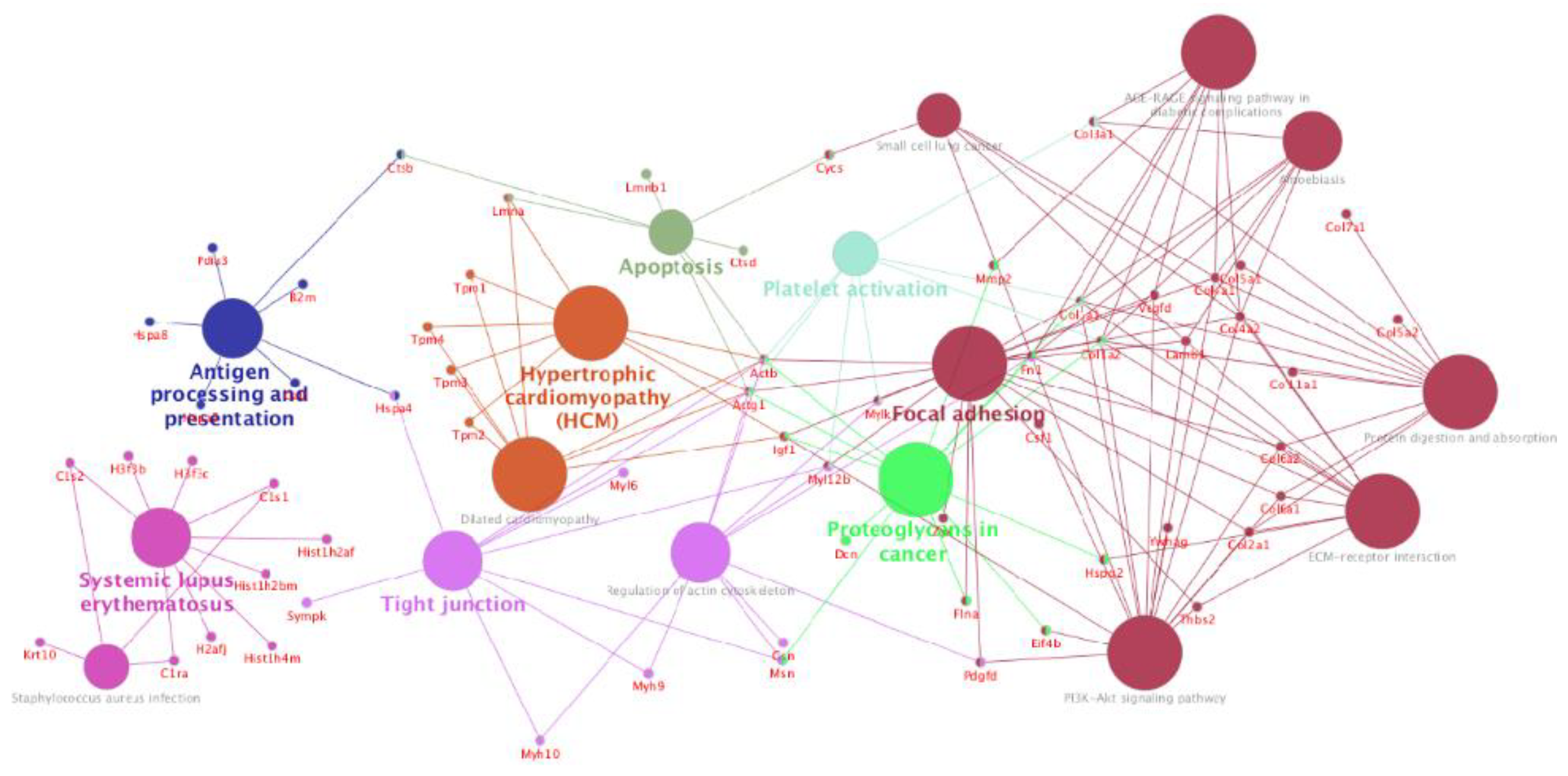Cells 08 01087 g003 Cells 08 01087 g003