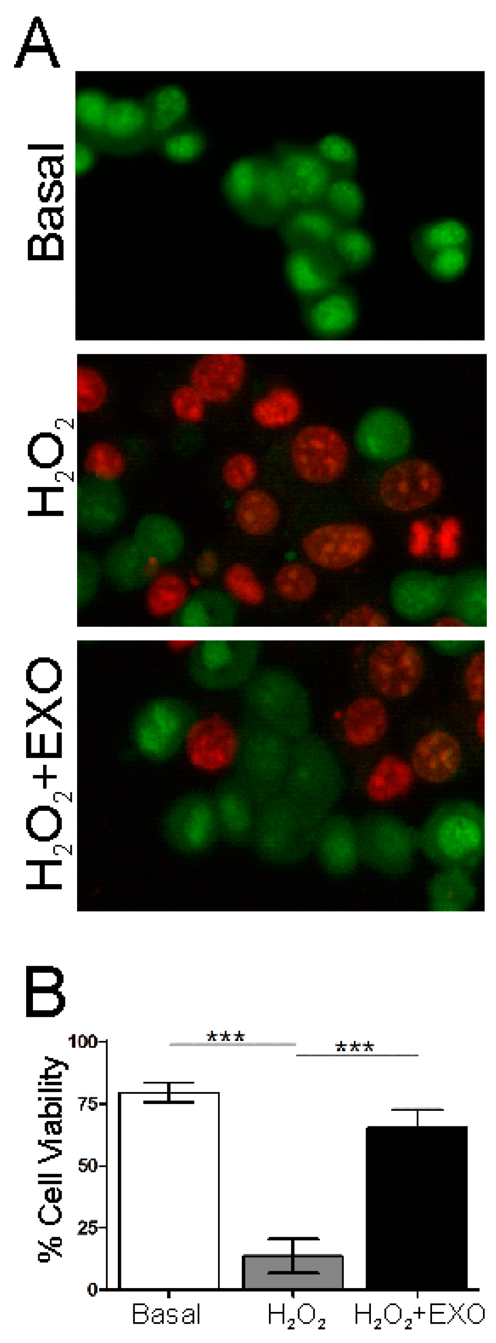 Cells 08 01087 g007 Cells 08 01087 g007