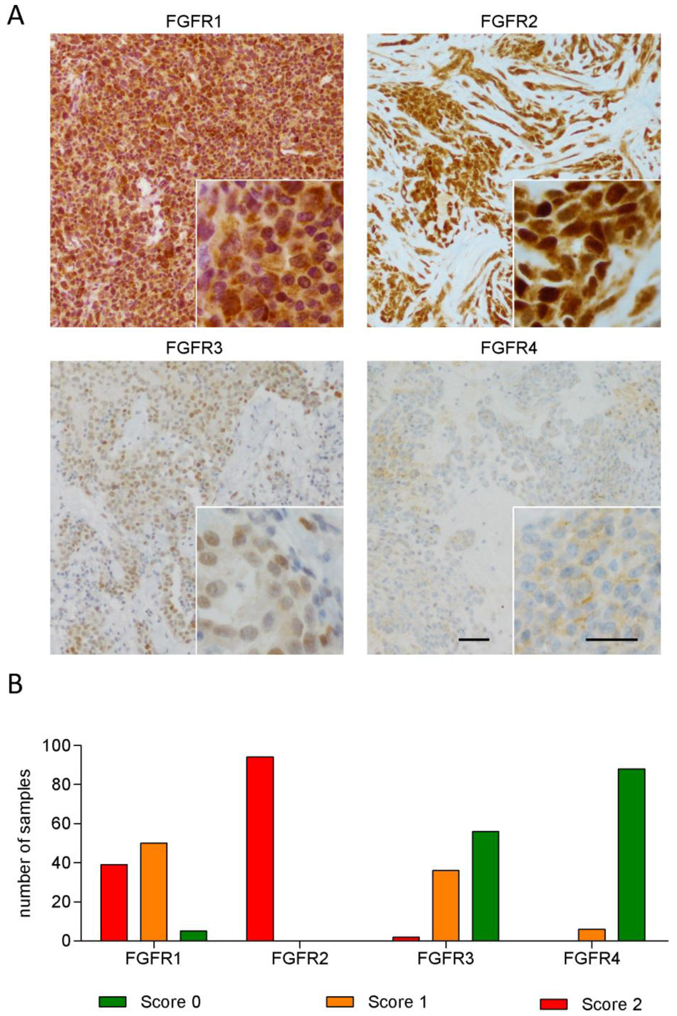 Cells 08 01091 g001