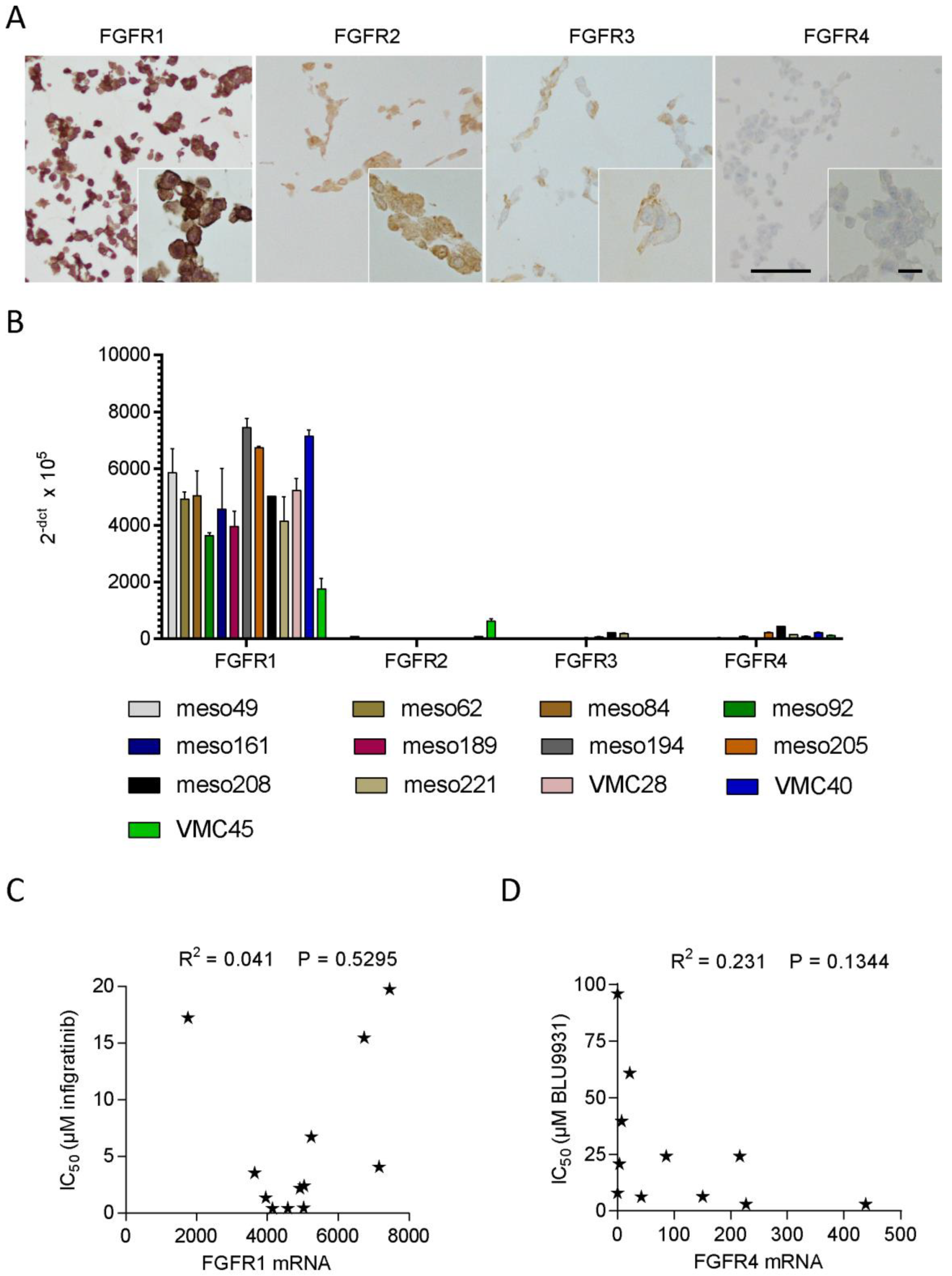 Cells 08 01091 g004