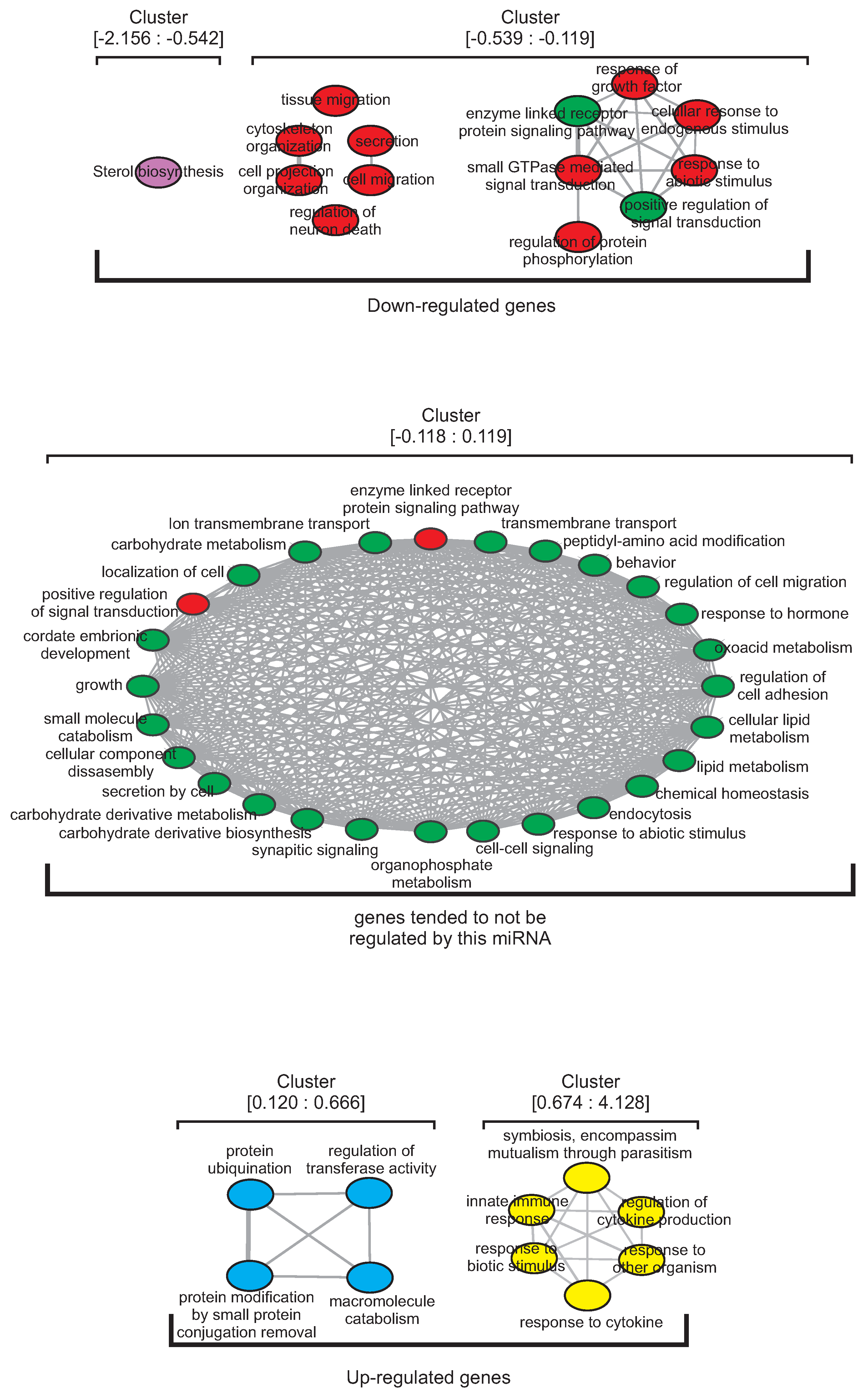 Cells 08 01103 g002 Cells 08 01103 g002
