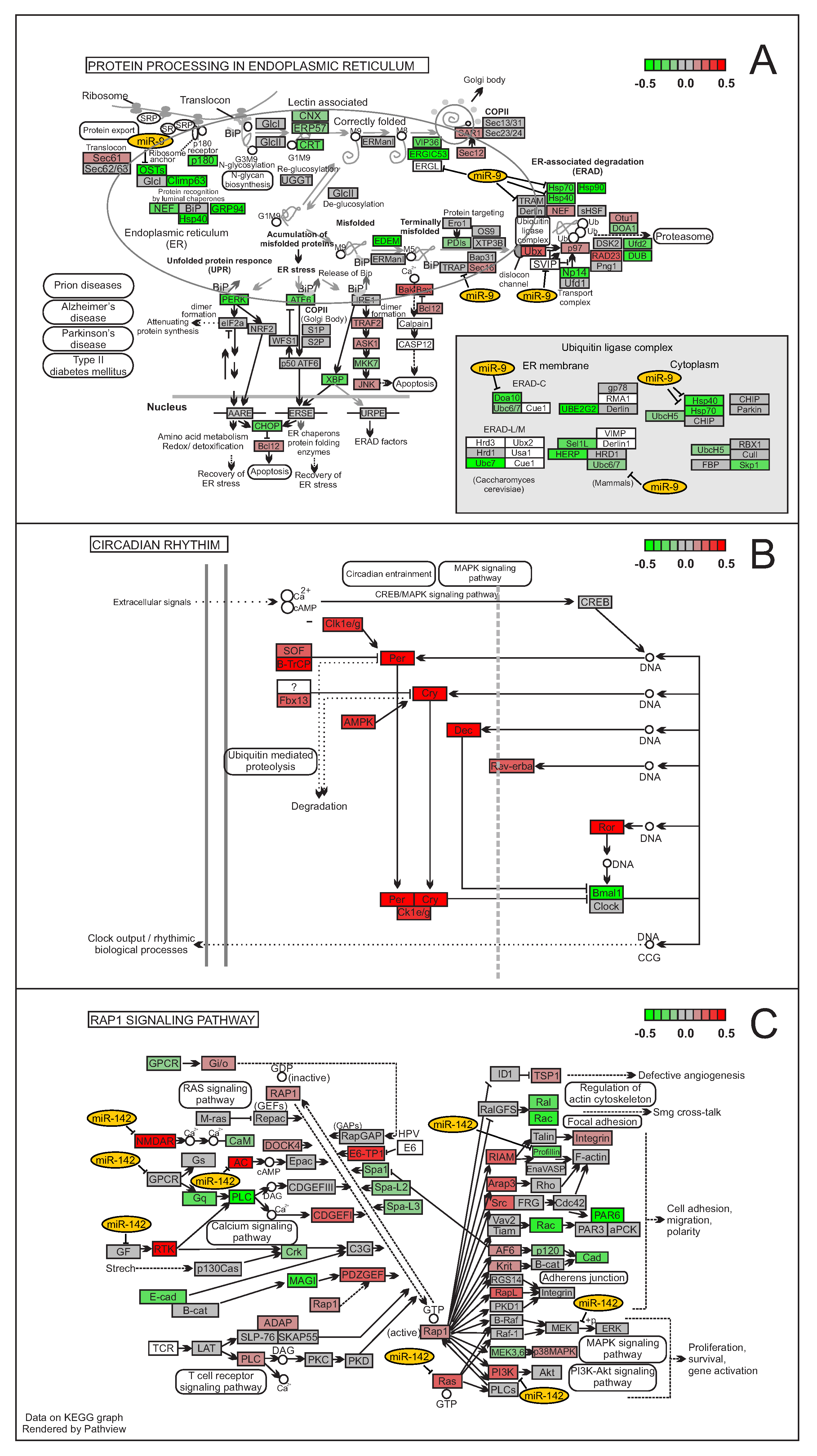 Cells 08 01103 g005 Cells 08 01103 g005