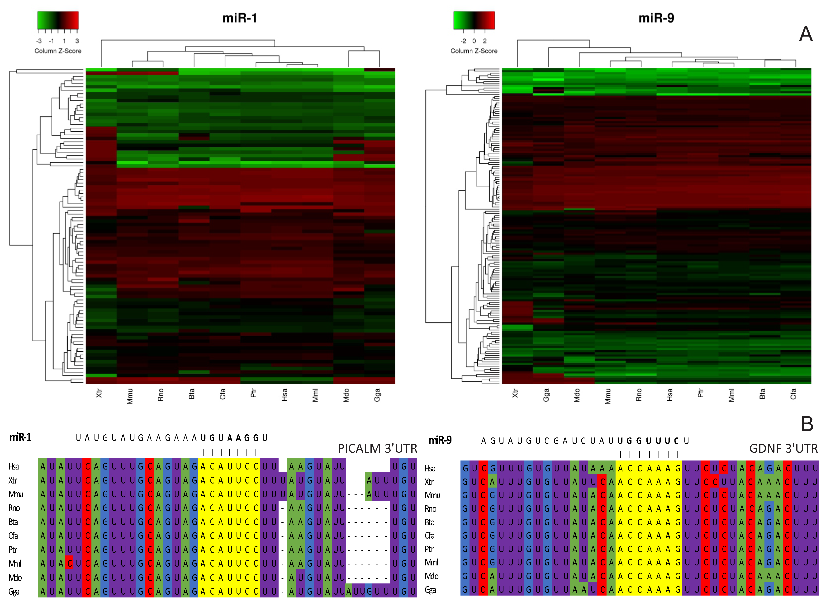 Cells 08 01103 g006 Cells 08 01103 g006