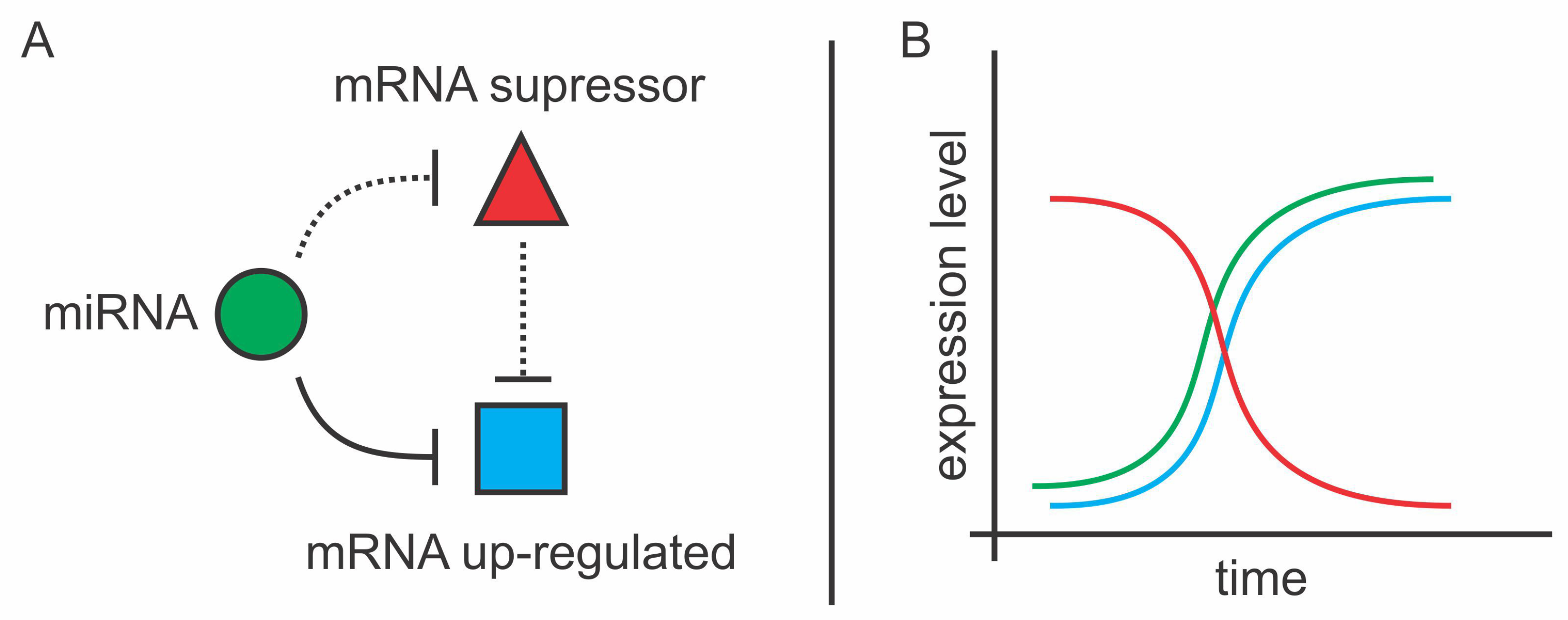 Cells 08 01103 g007 Cells 08 01103 g007