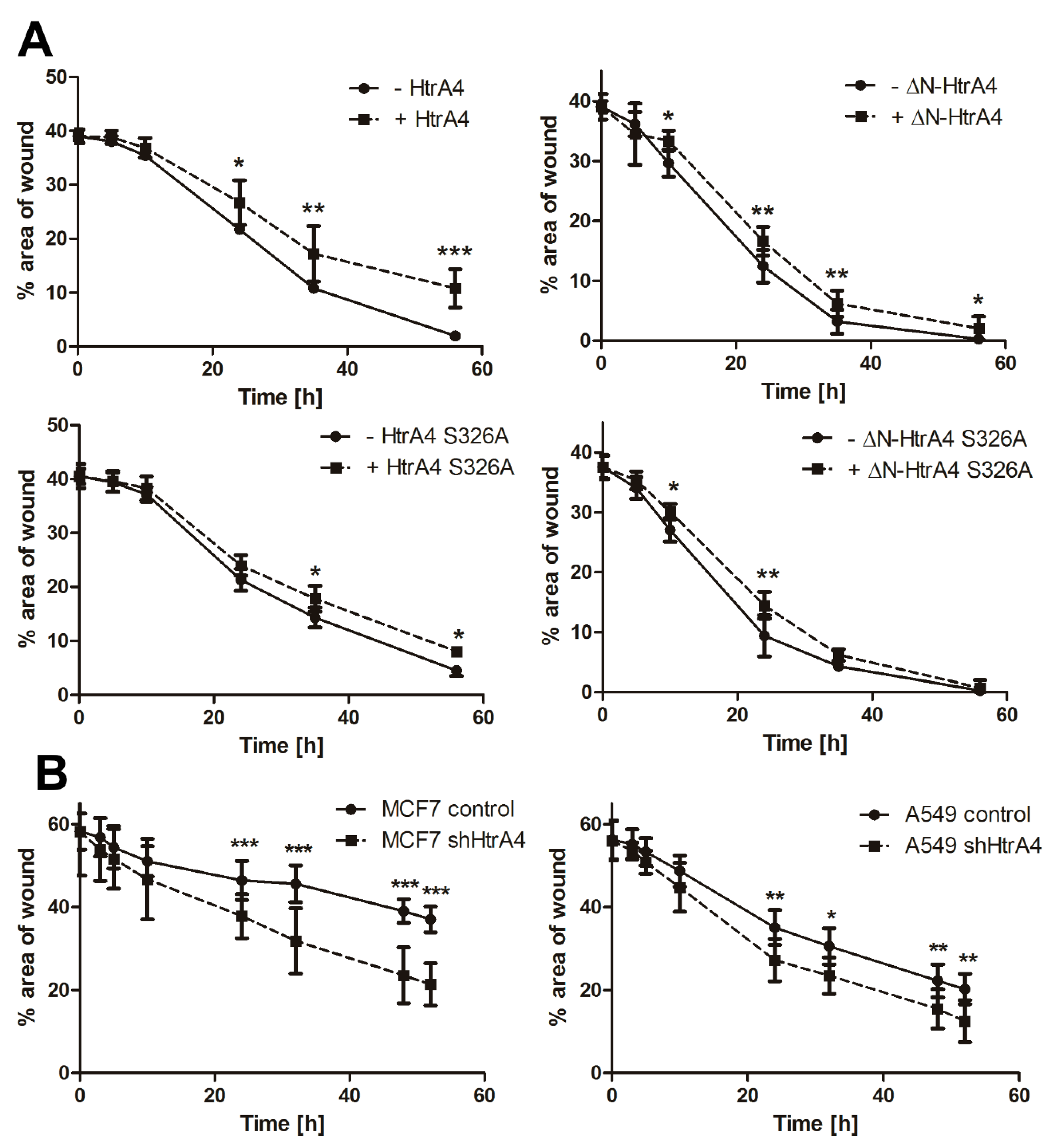 Cells 08 01112 g007 Cells 08 01112 g007
