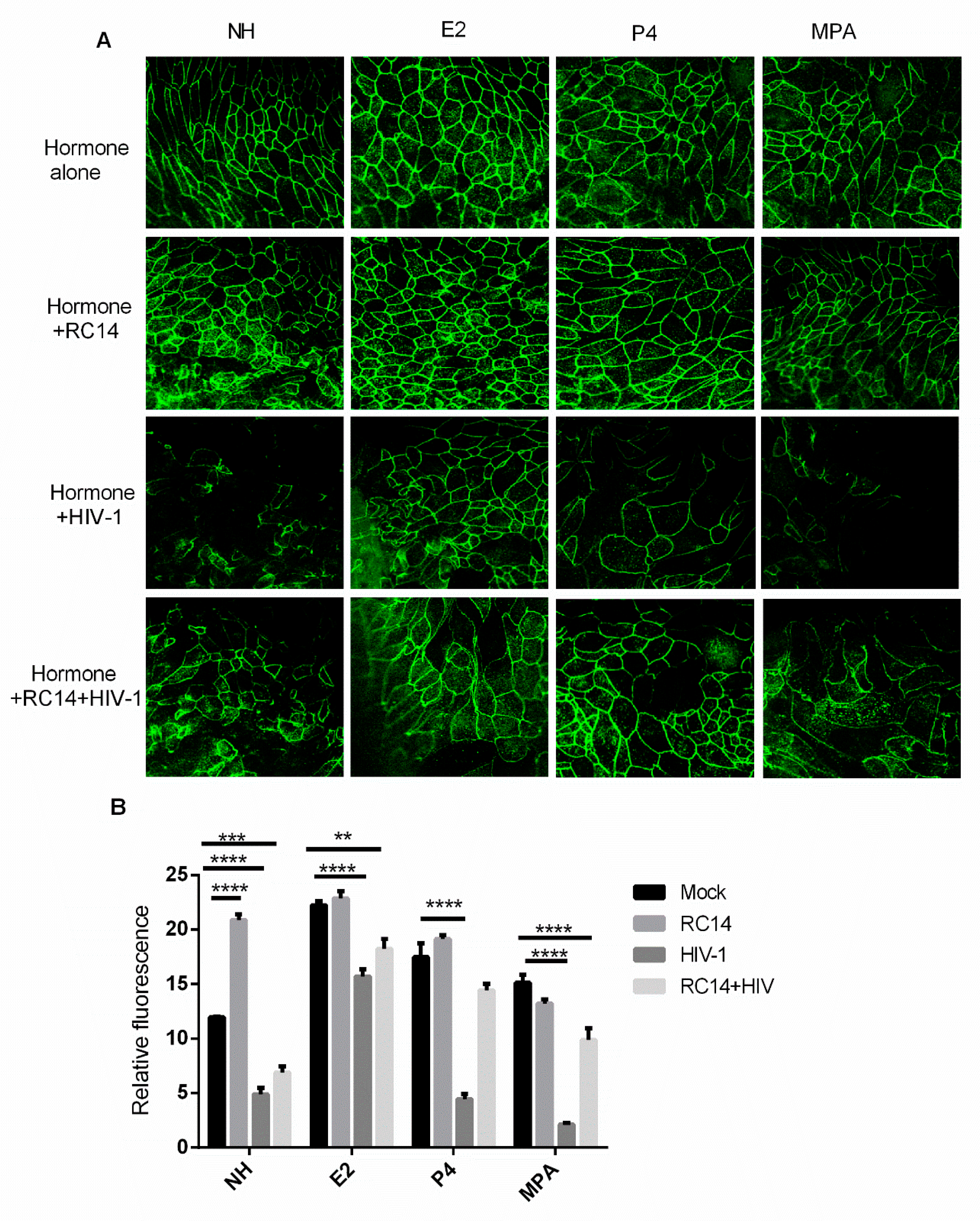 Cells 08 01120 g006