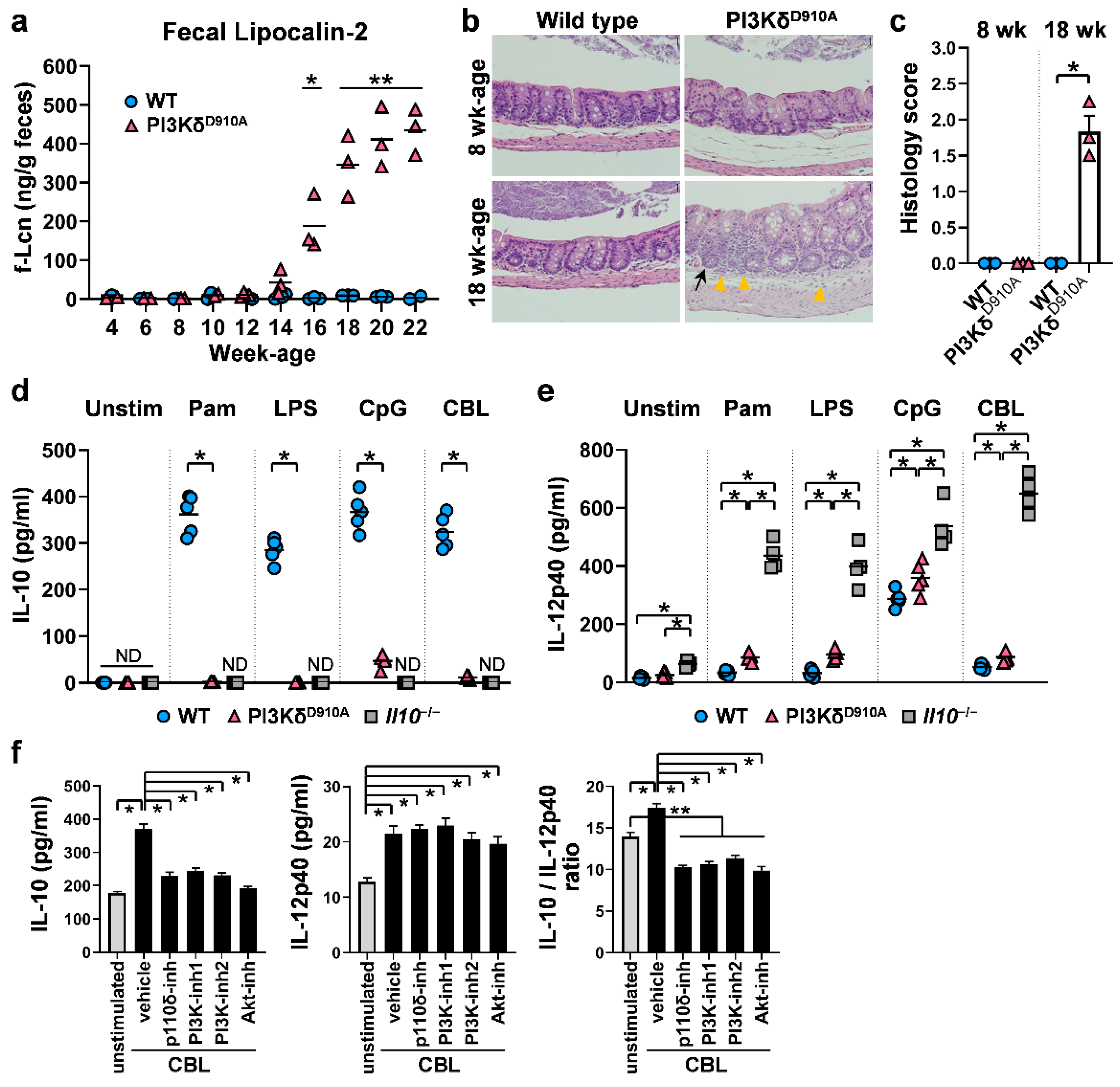 Cells 08 01121 g001 Cells 08 01121 g001