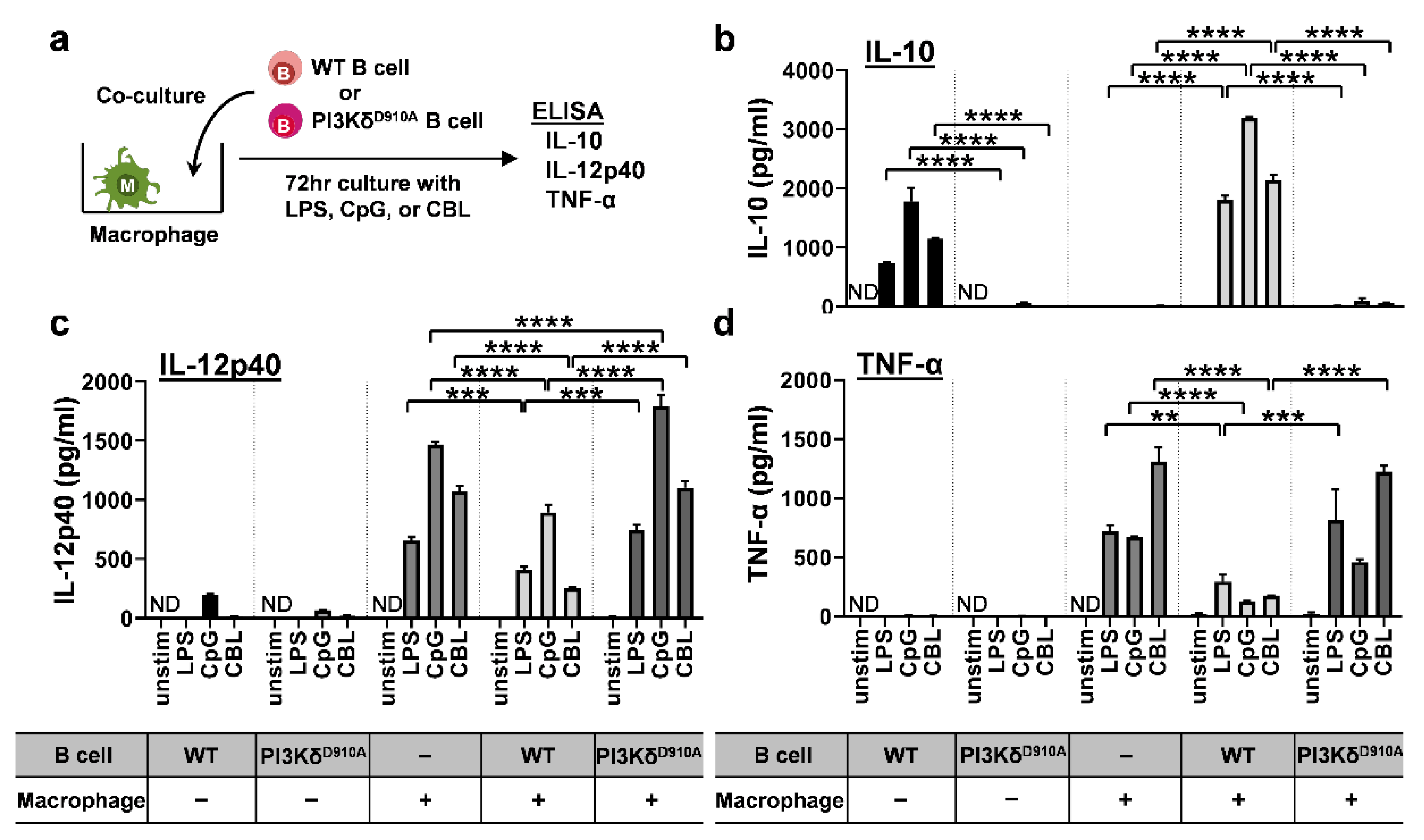 Cells 08 01121 g003 Cells 08 01121 g003