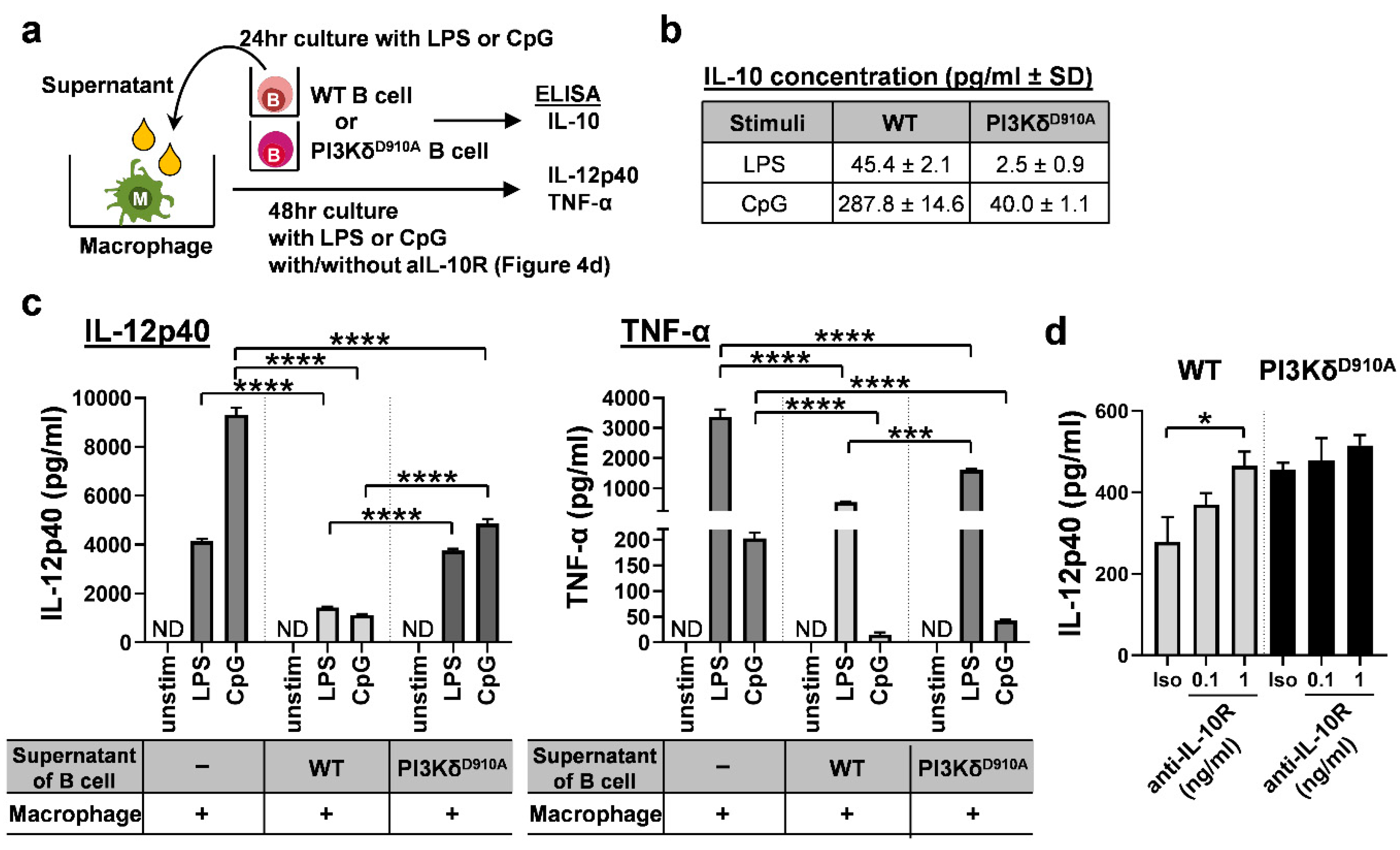 Cells 08 01121 g004 Cells 08 01121 g004
