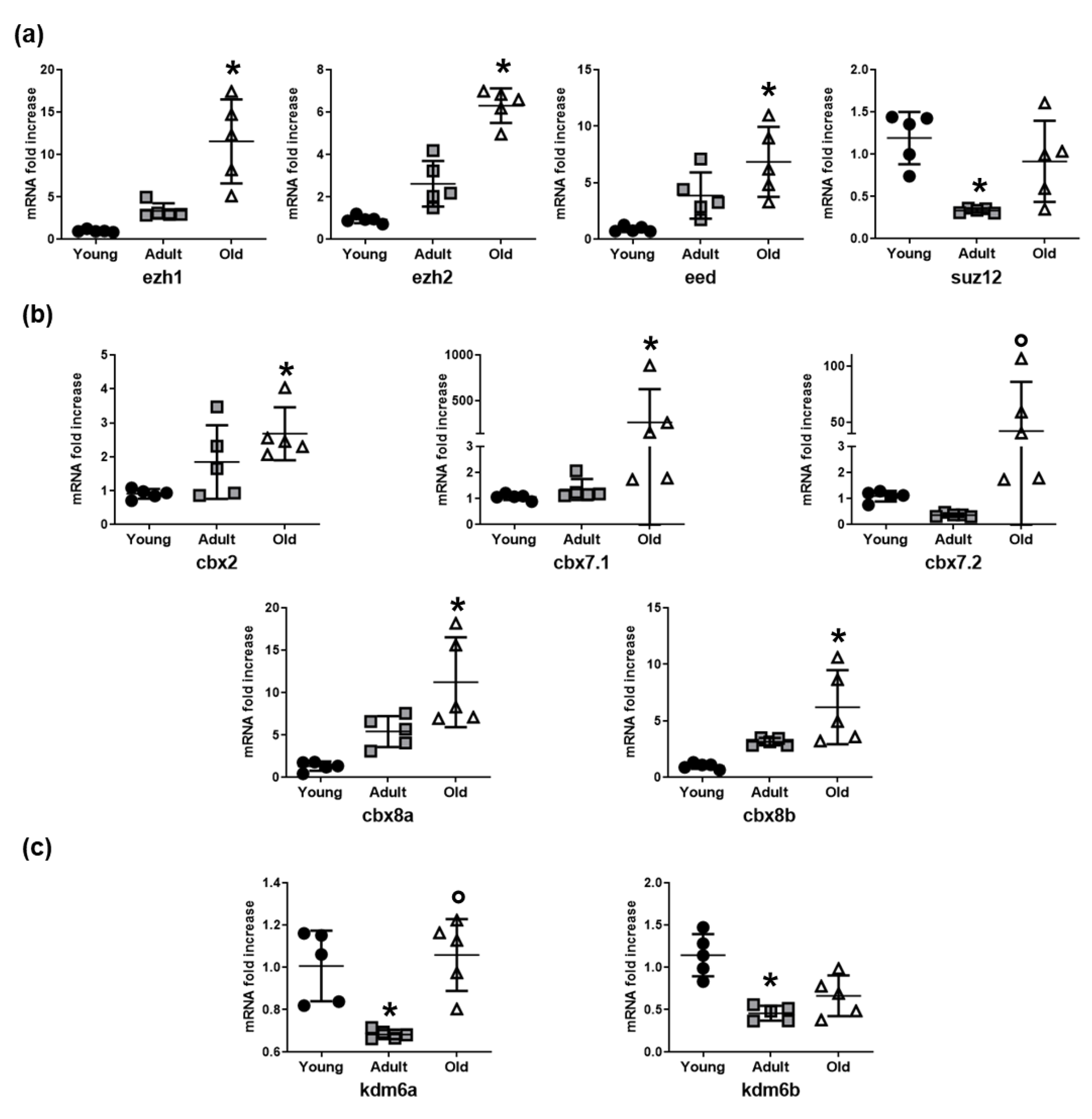 Cells 08 01169 g002