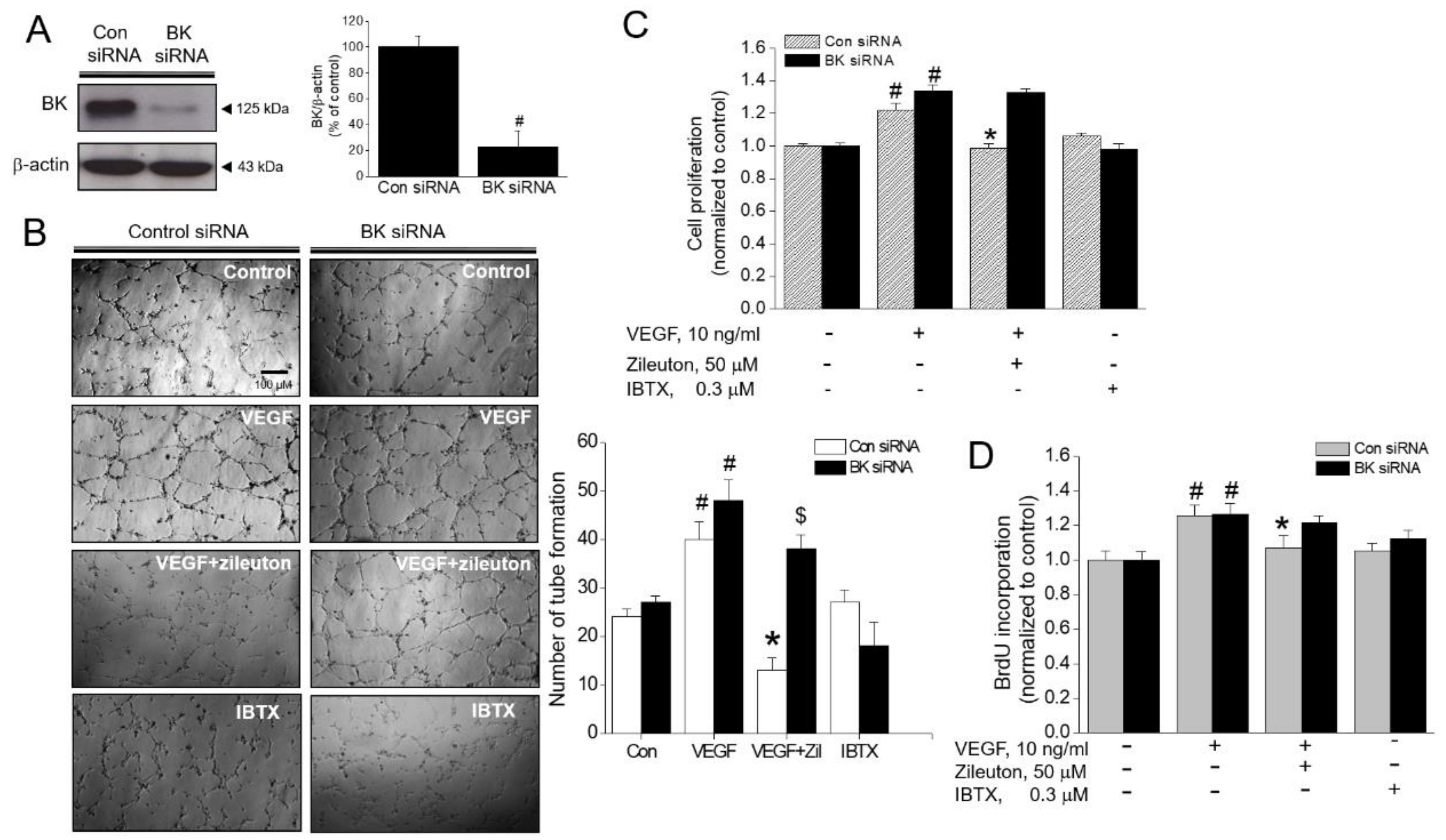 Cells 08 01182 g006