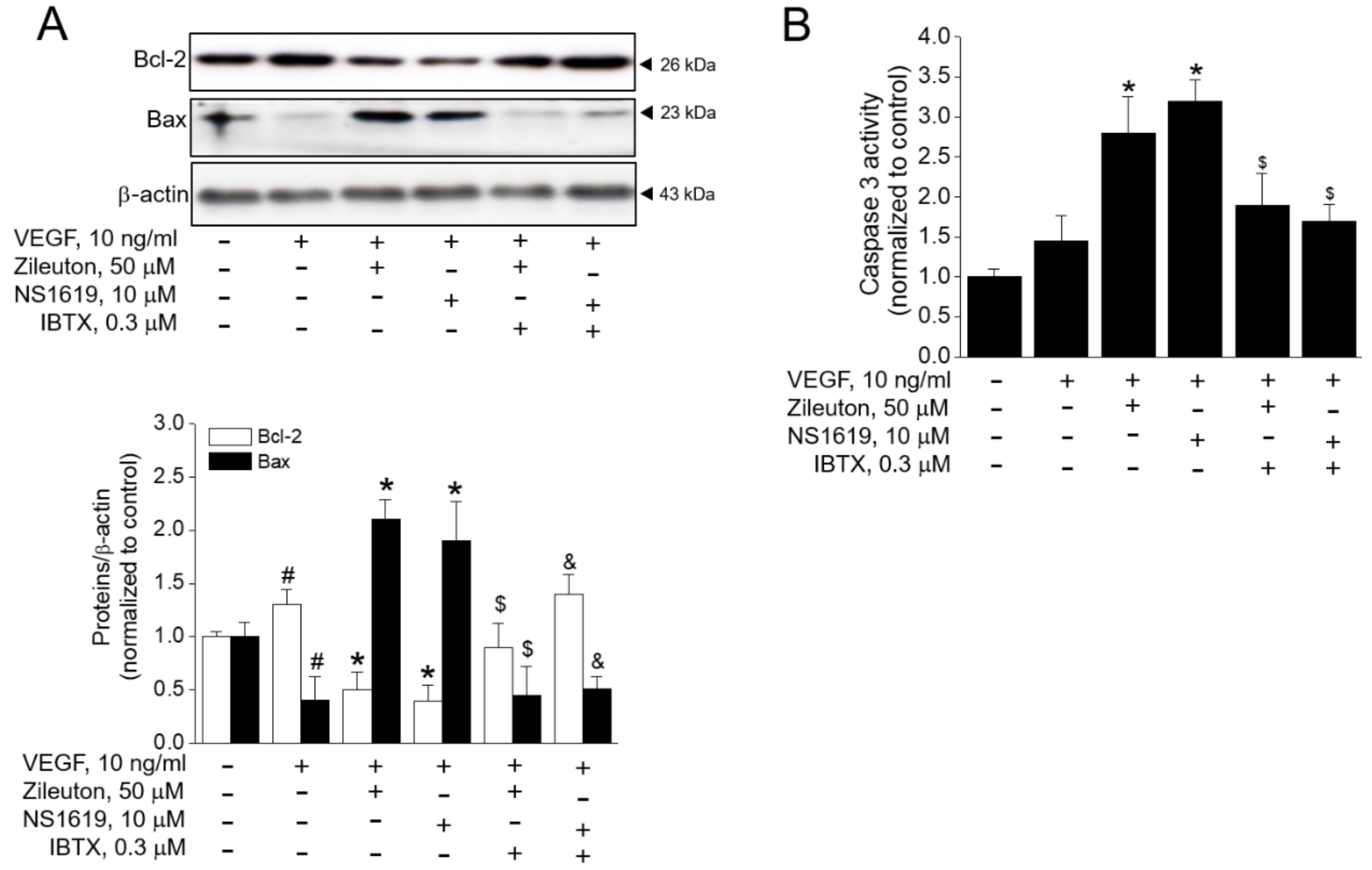 Cells 08 01182 g007
