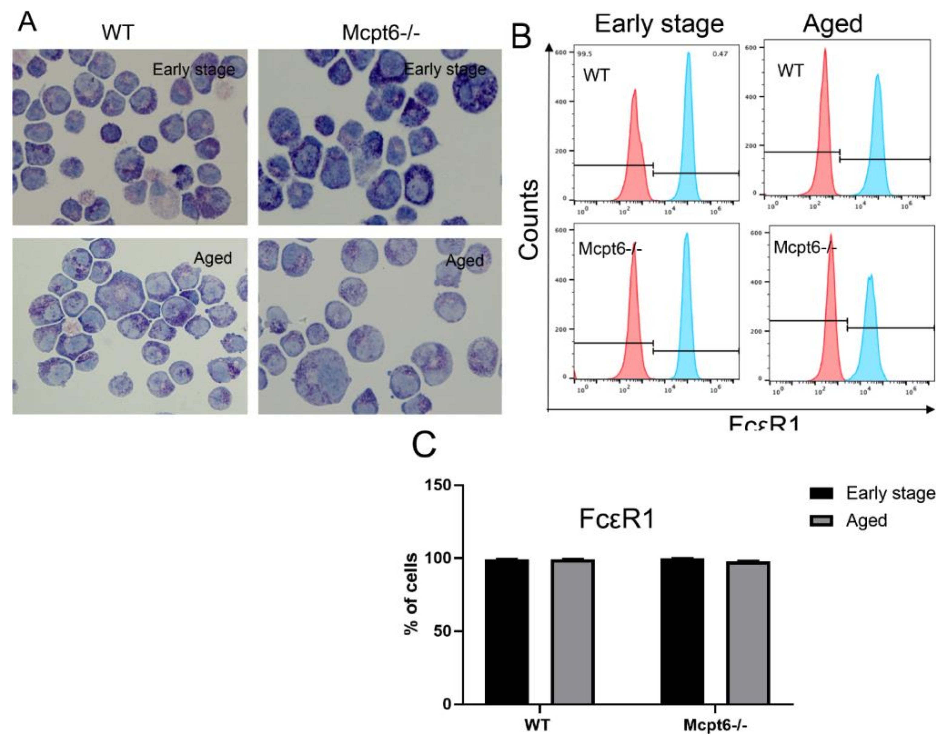 Cells 08 01190 g001