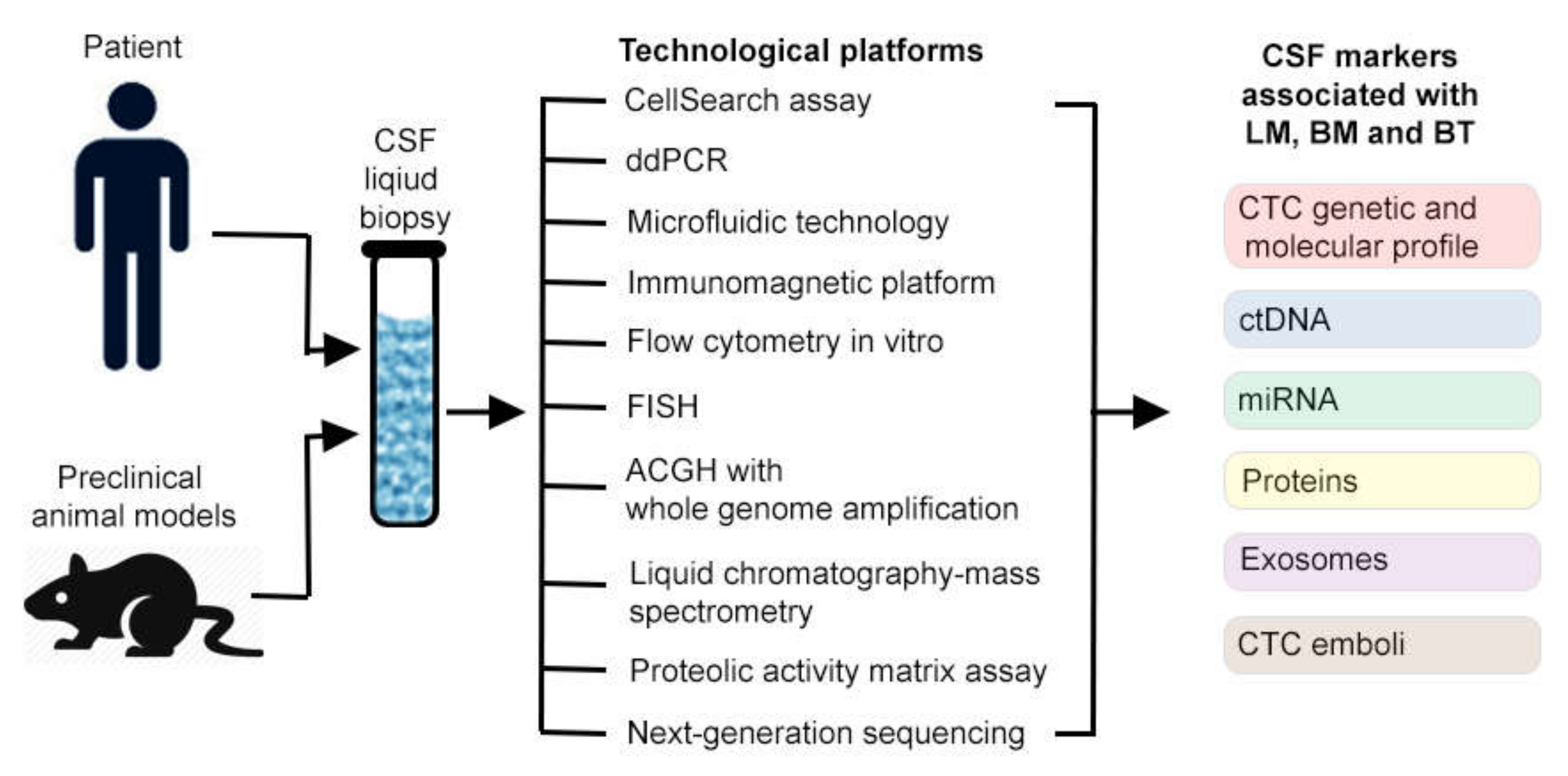 Cells 08 01195 g001 Cells 08 01195 g001