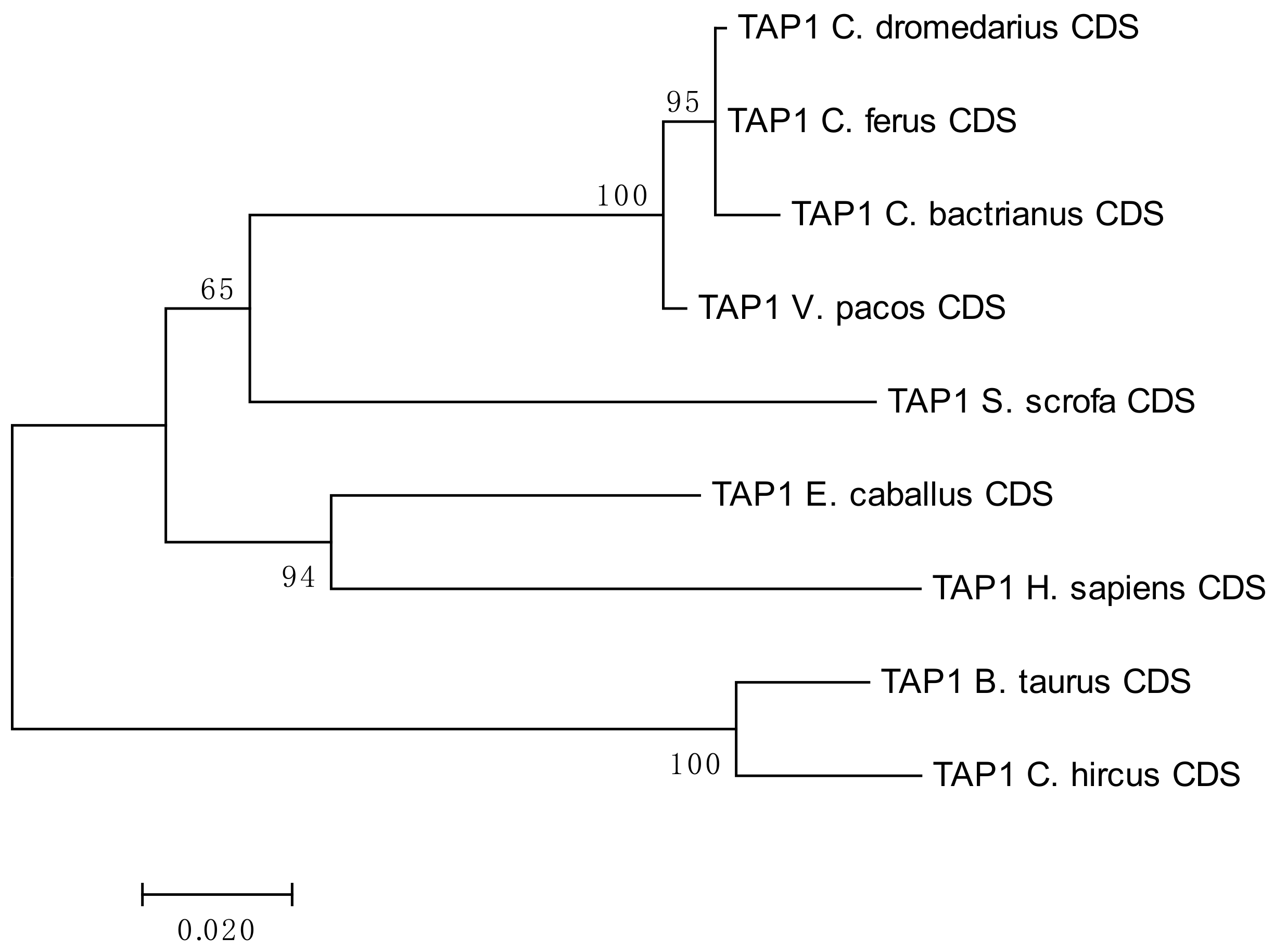 Cells 08 01200 g001 Cells 08 01200 g001