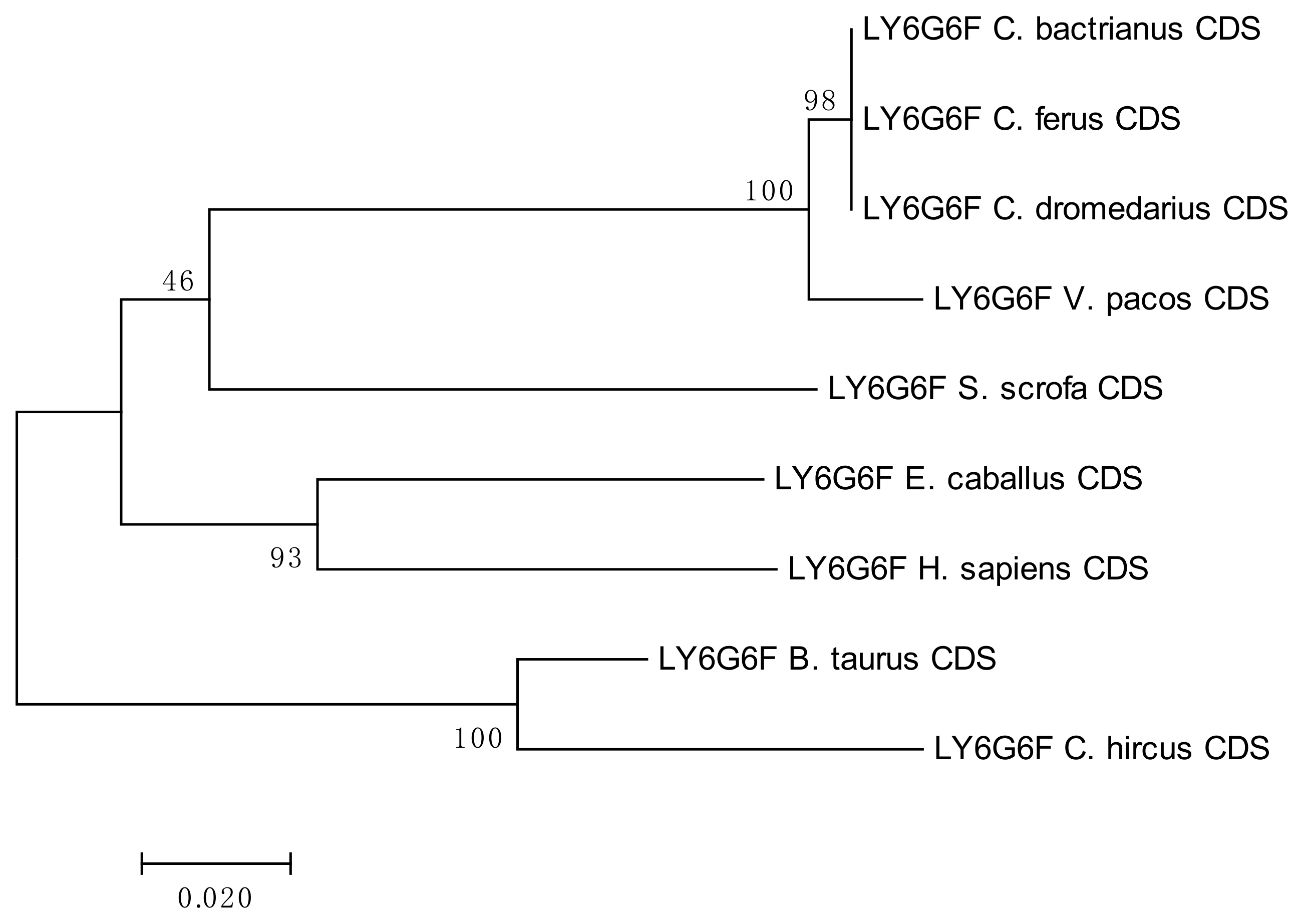 Cells 08 01200 g006 Cells 08 01200 g006