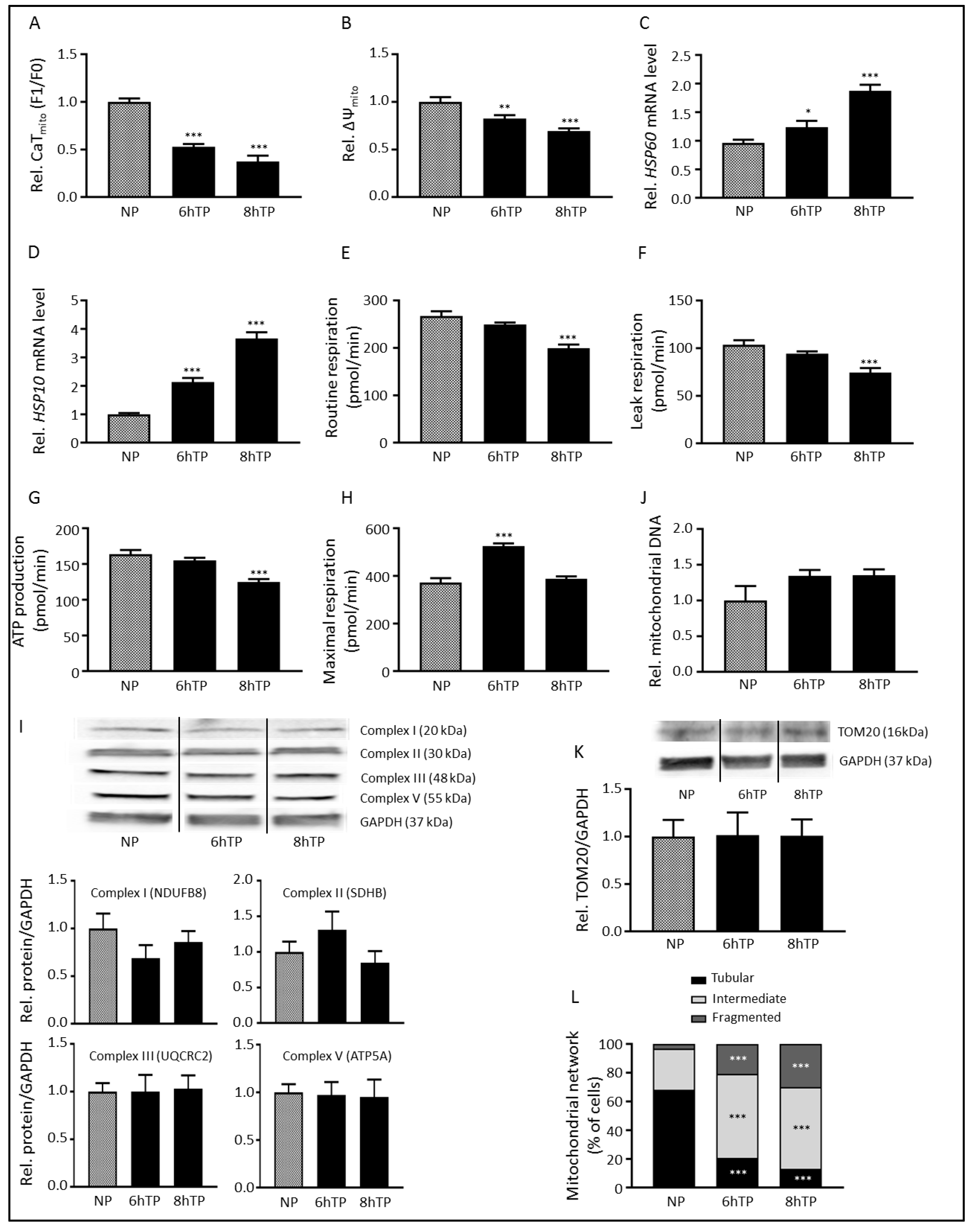 Cells 08 01202 g001 Cells 08 01202 g001