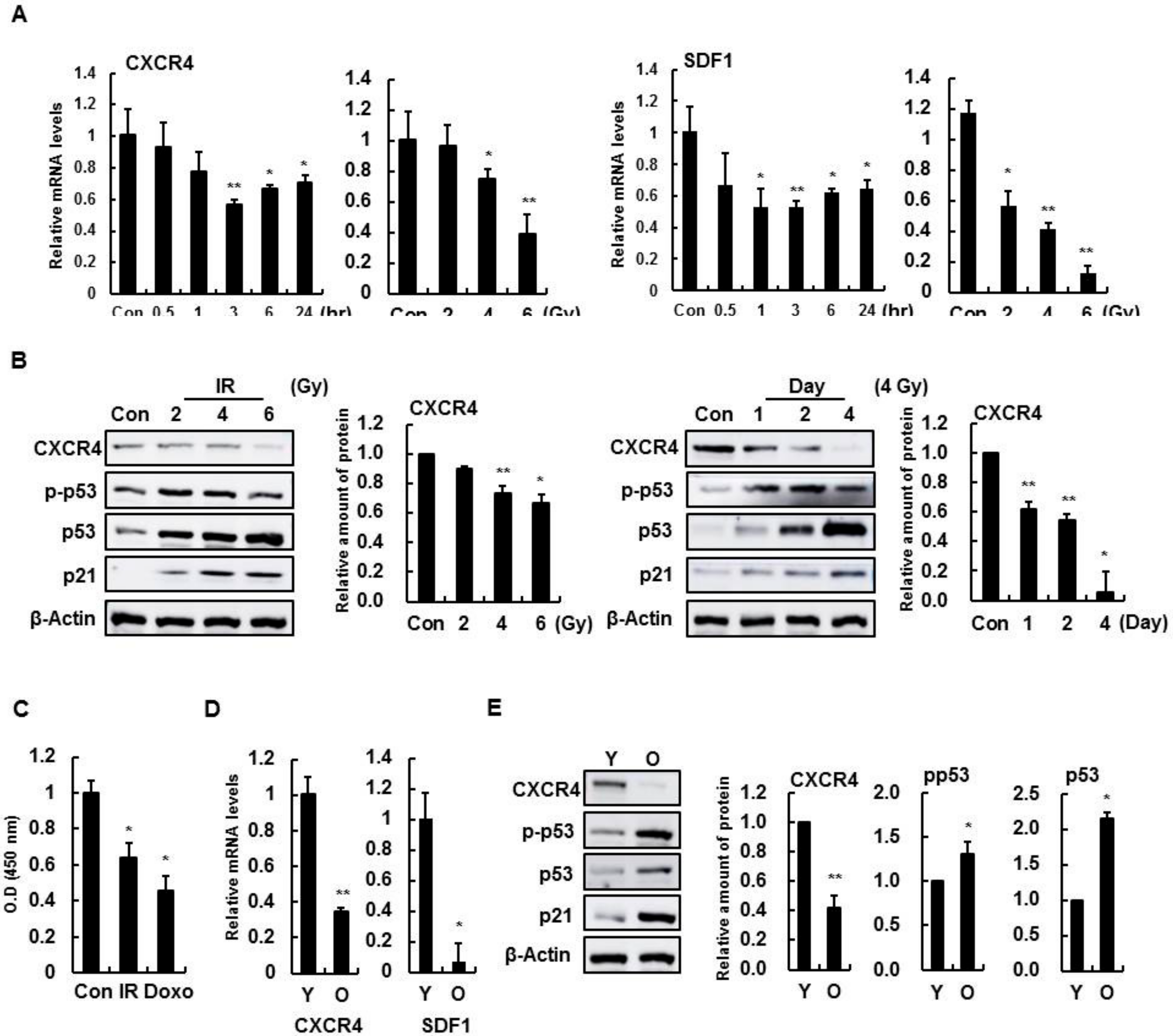 Cells 08 01230 g001 Cells 08 01230 g001