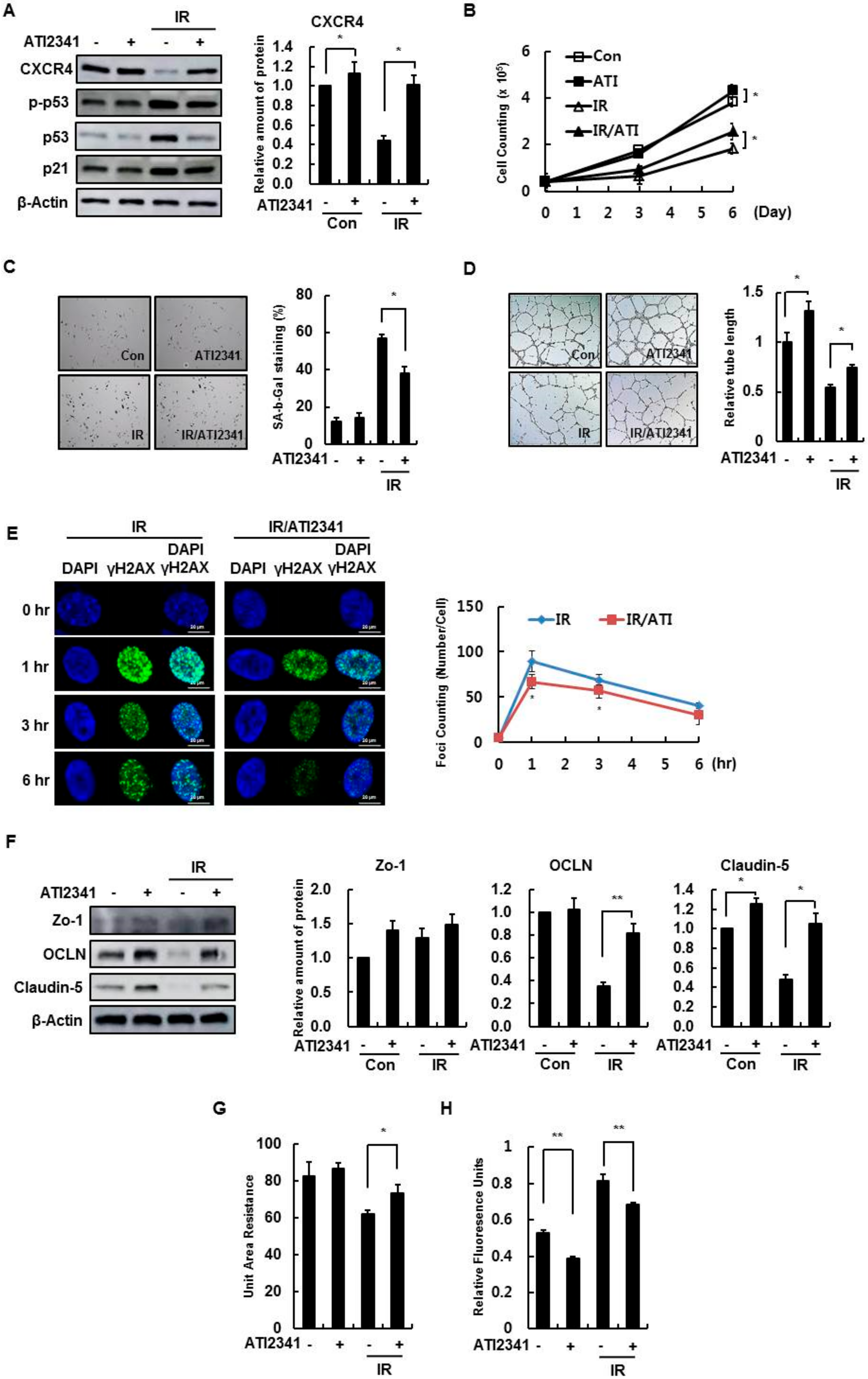 Cells 08 01230 g005 Cells 08 01230 g005