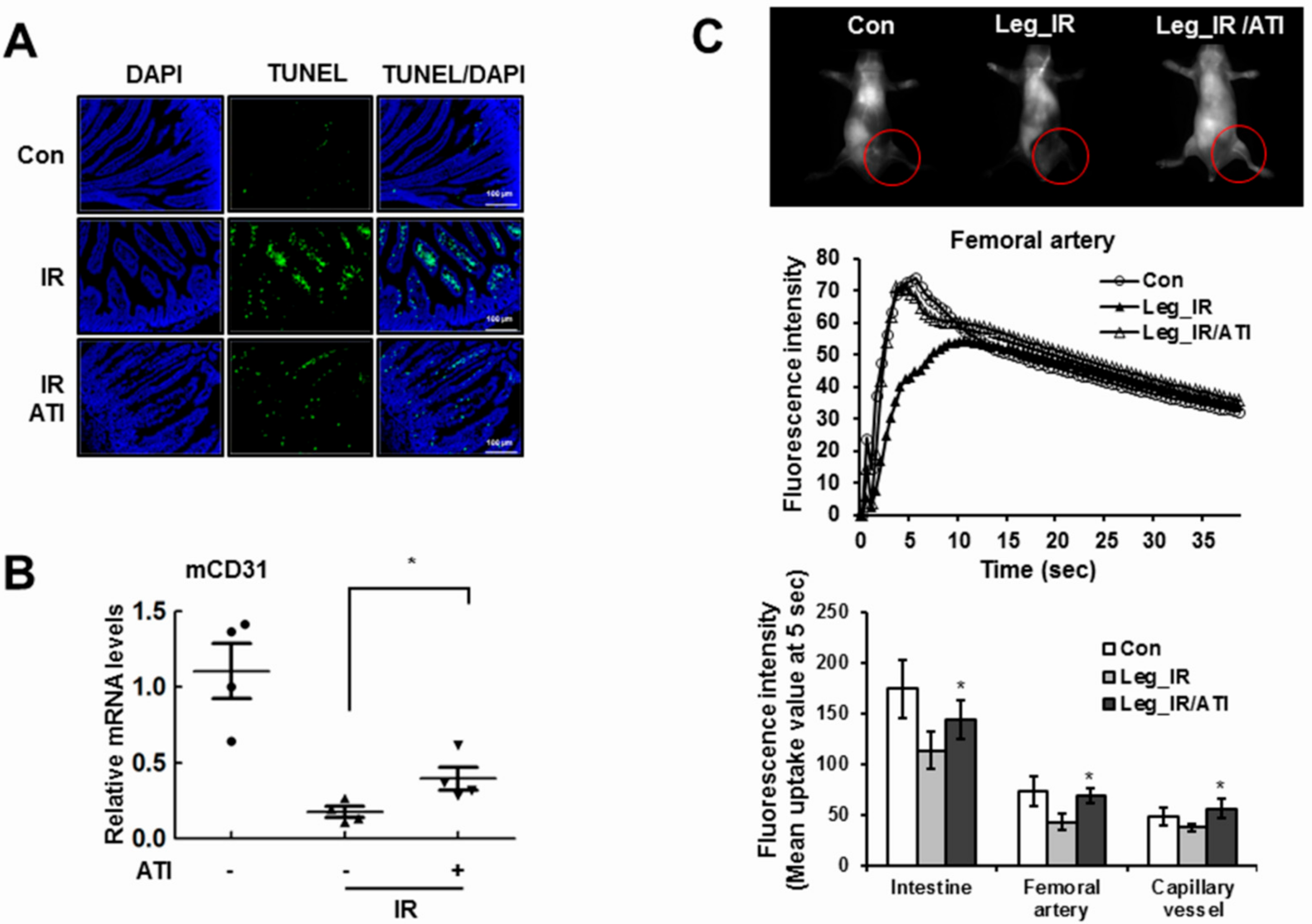 Cells 08 01230 g007 Cells 08 01230 g007