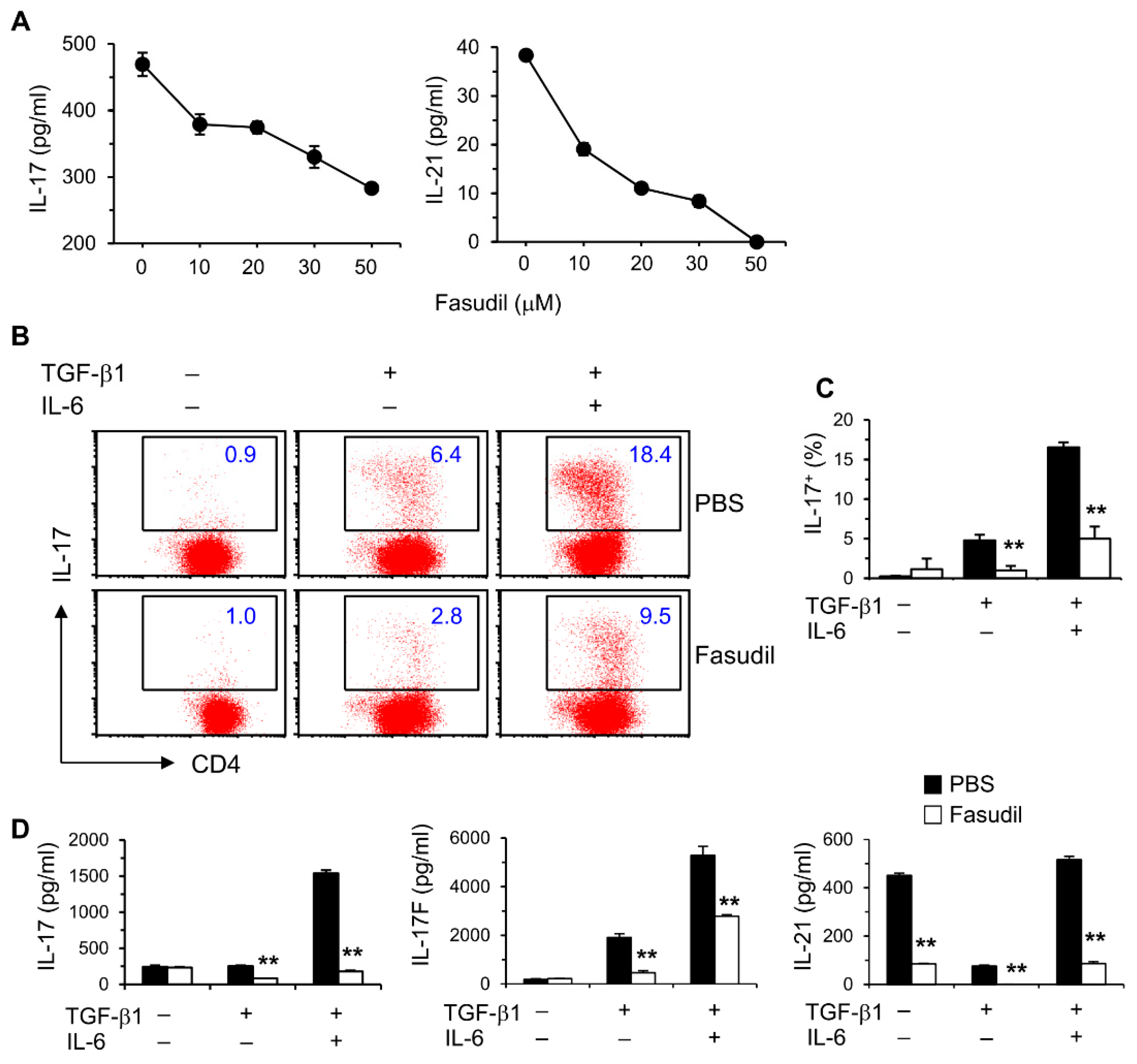 Cells 08 01262 g003 Cells 08 01262 g003
