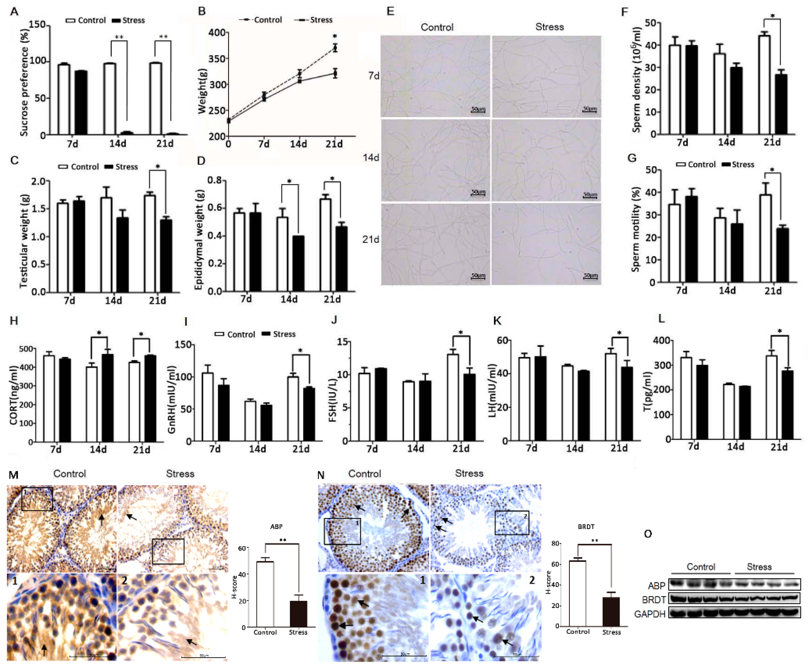 Cells 08 01265 g001 Cells 08 01265 g001