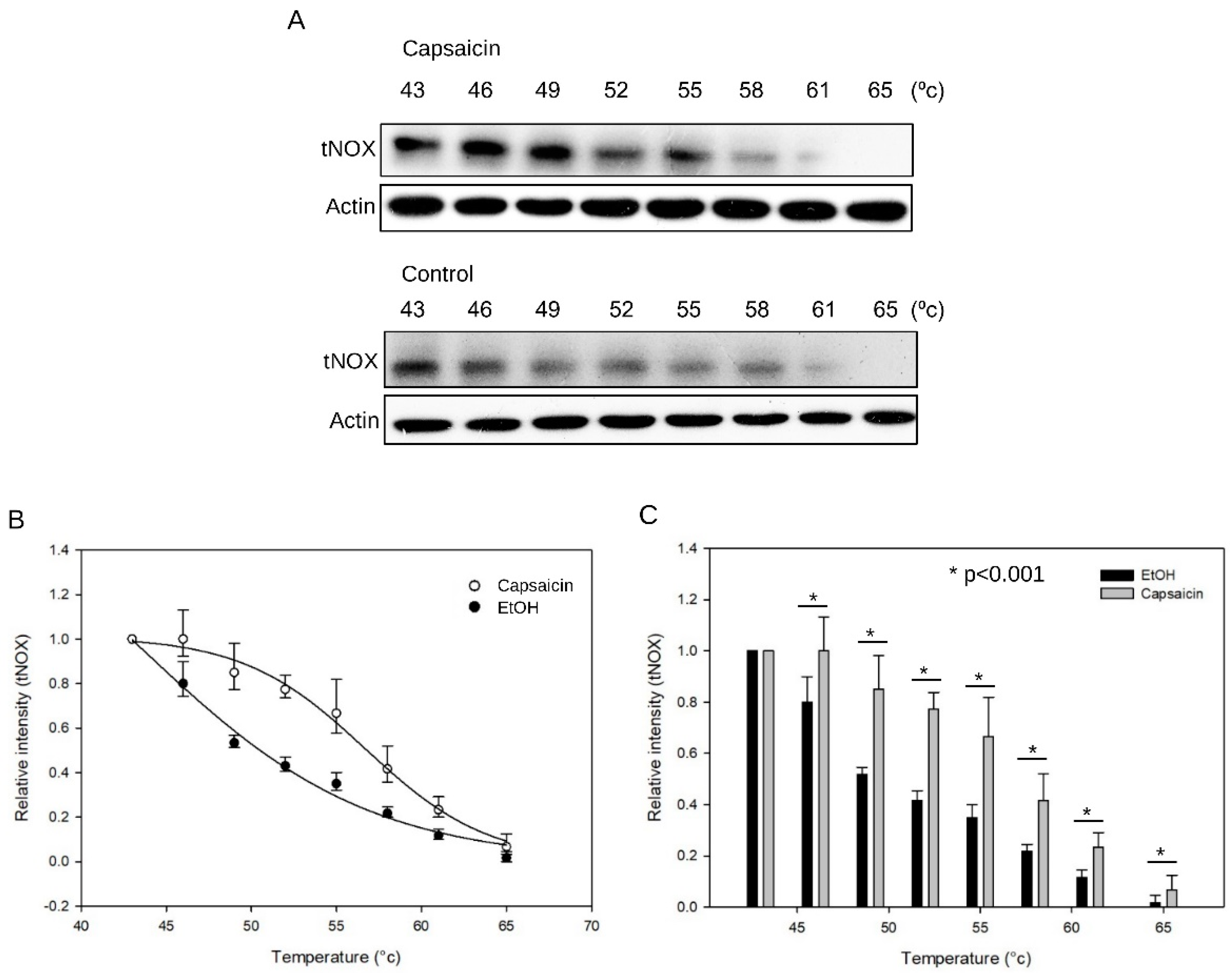 Cells 08 01275 g001 Cells 08 01275 g001