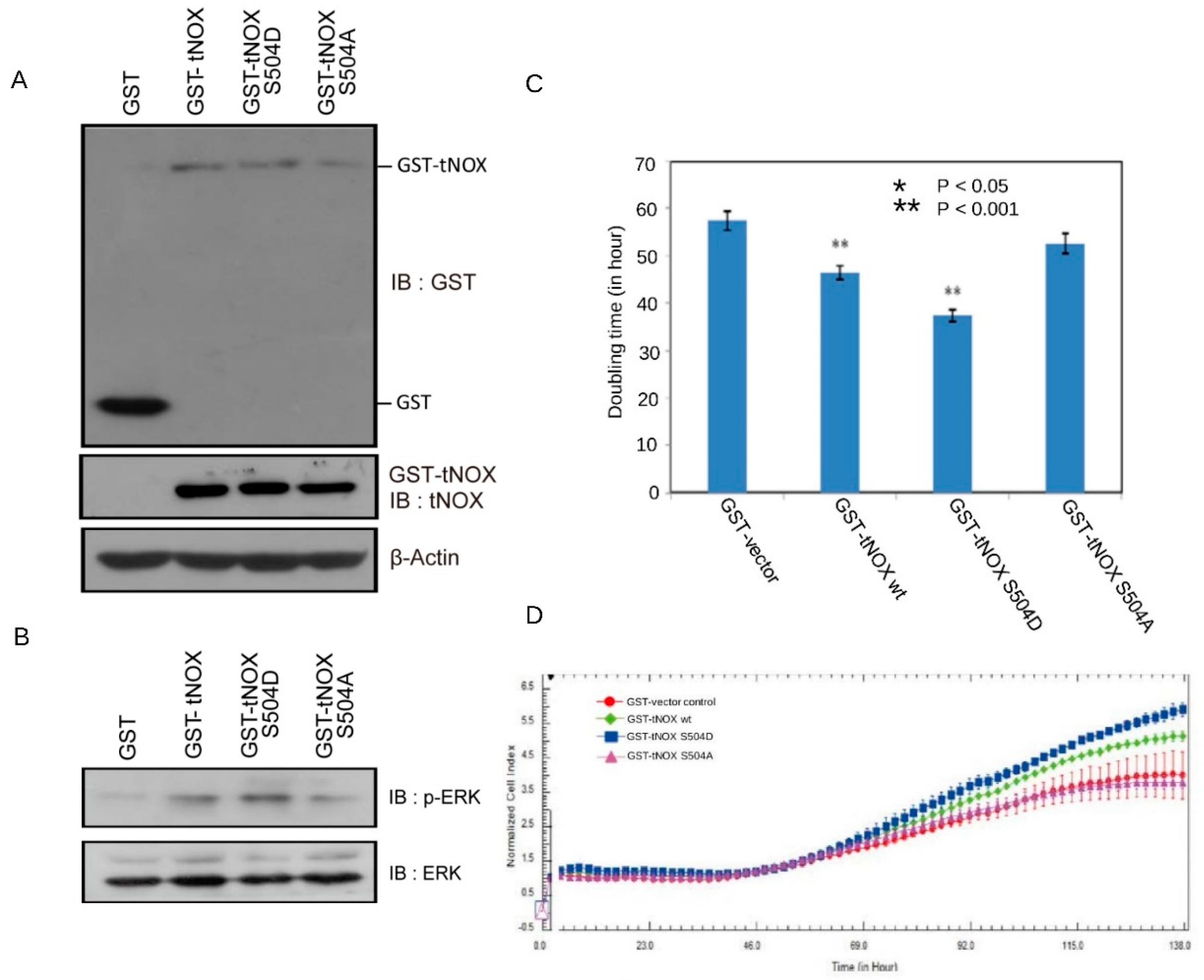 Cells 08 01275 g005 Cells 08 01275 g005