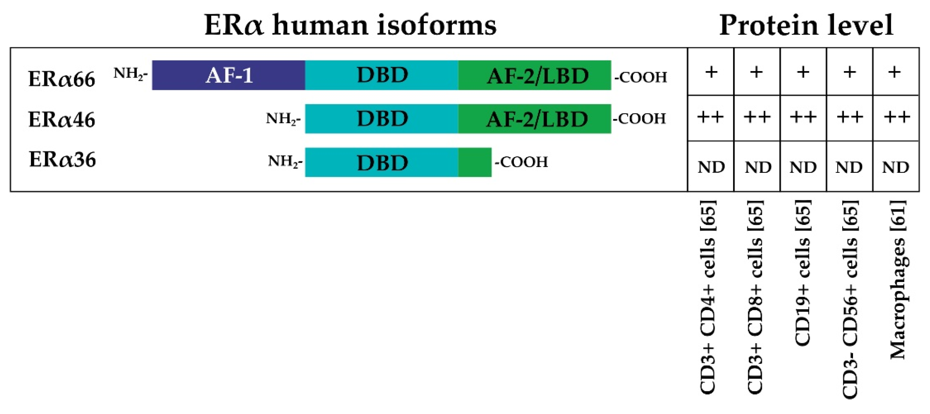 Cells 08 01280 g002 Cells 08 01280 g002