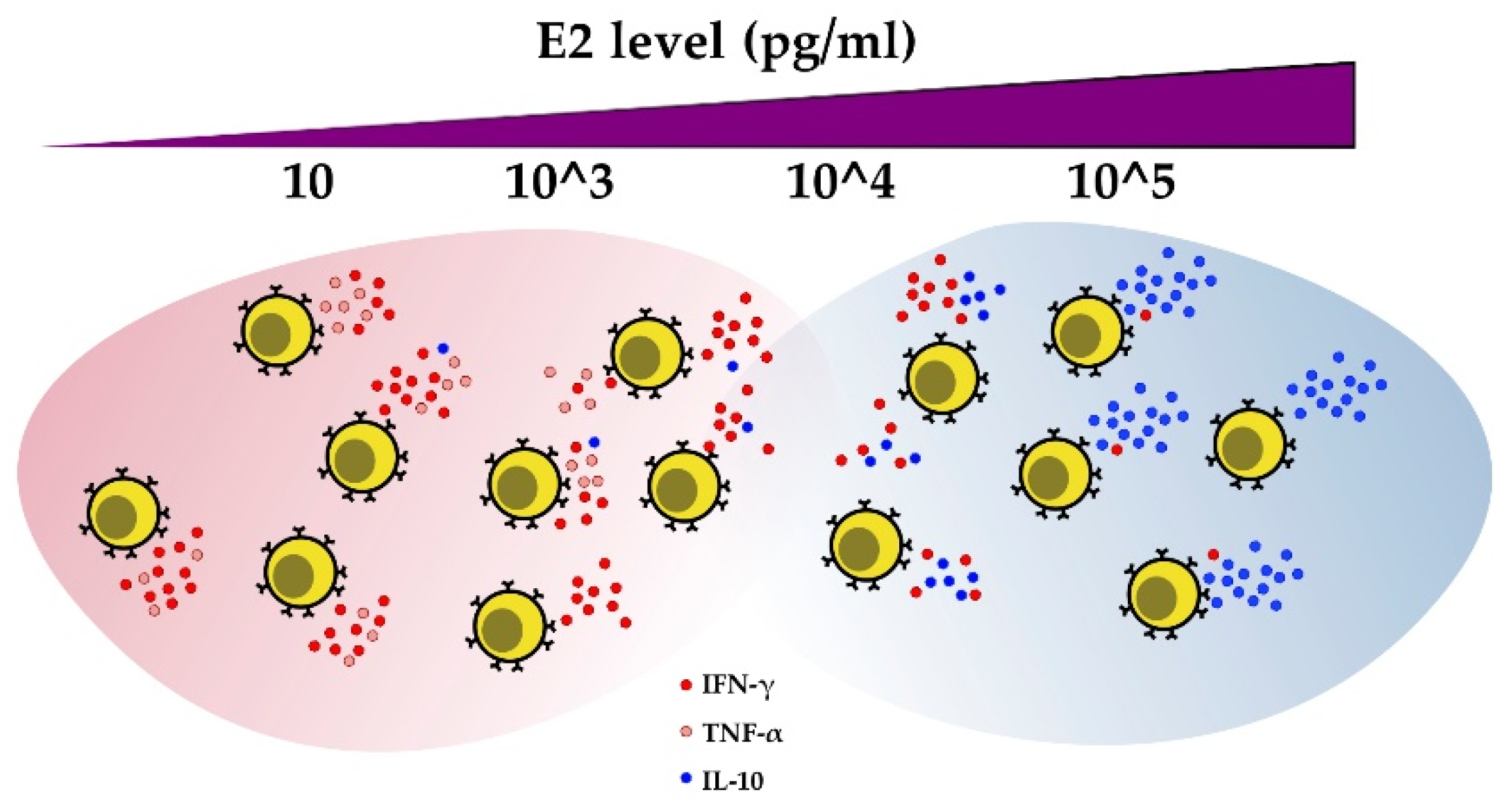 Cells 08 01280 g004 Cells 08 01280 g004