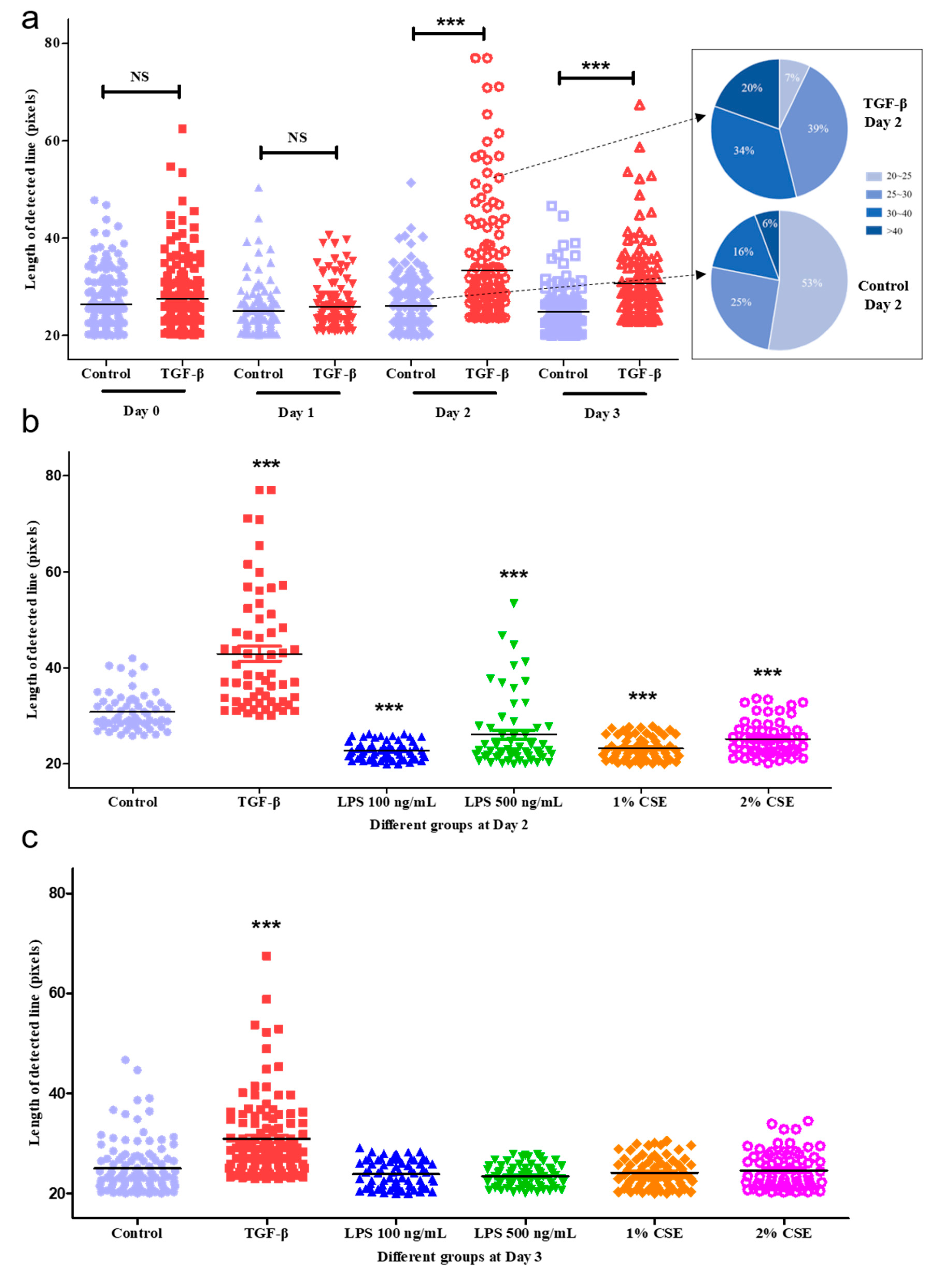 Cells 08 01287 g006a Cells 08 01287 g006a