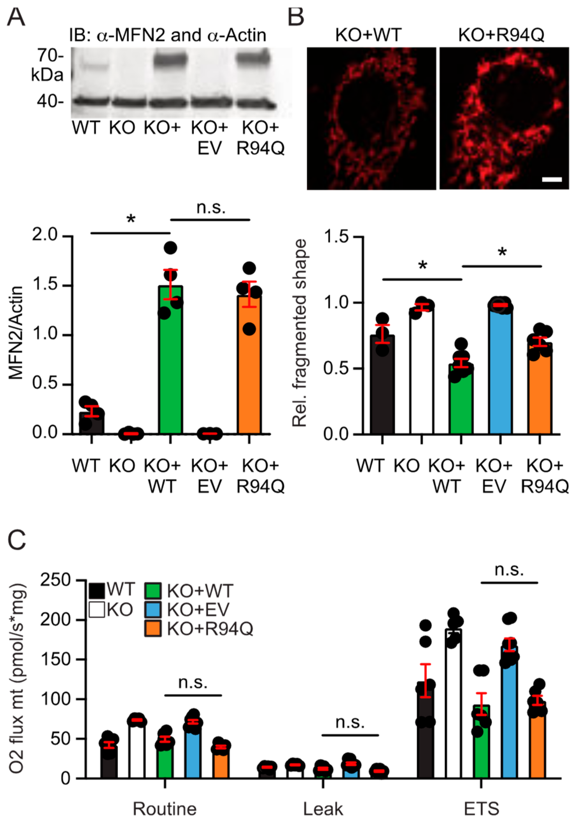 Cells 08 01289 g001
