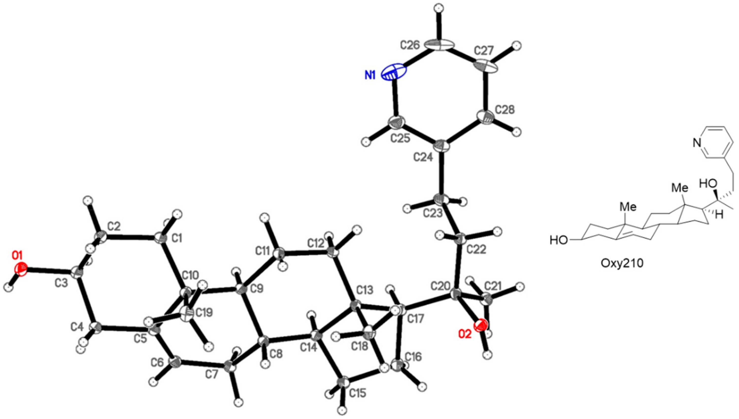 Cells 08 01297 g002 Cells 08 01297 g002