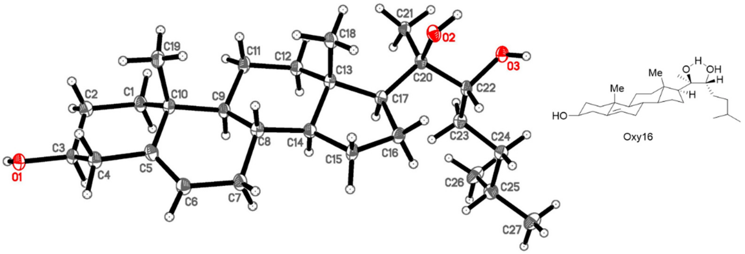 Cells 08 01297 g003 Cells 08 01297 g003