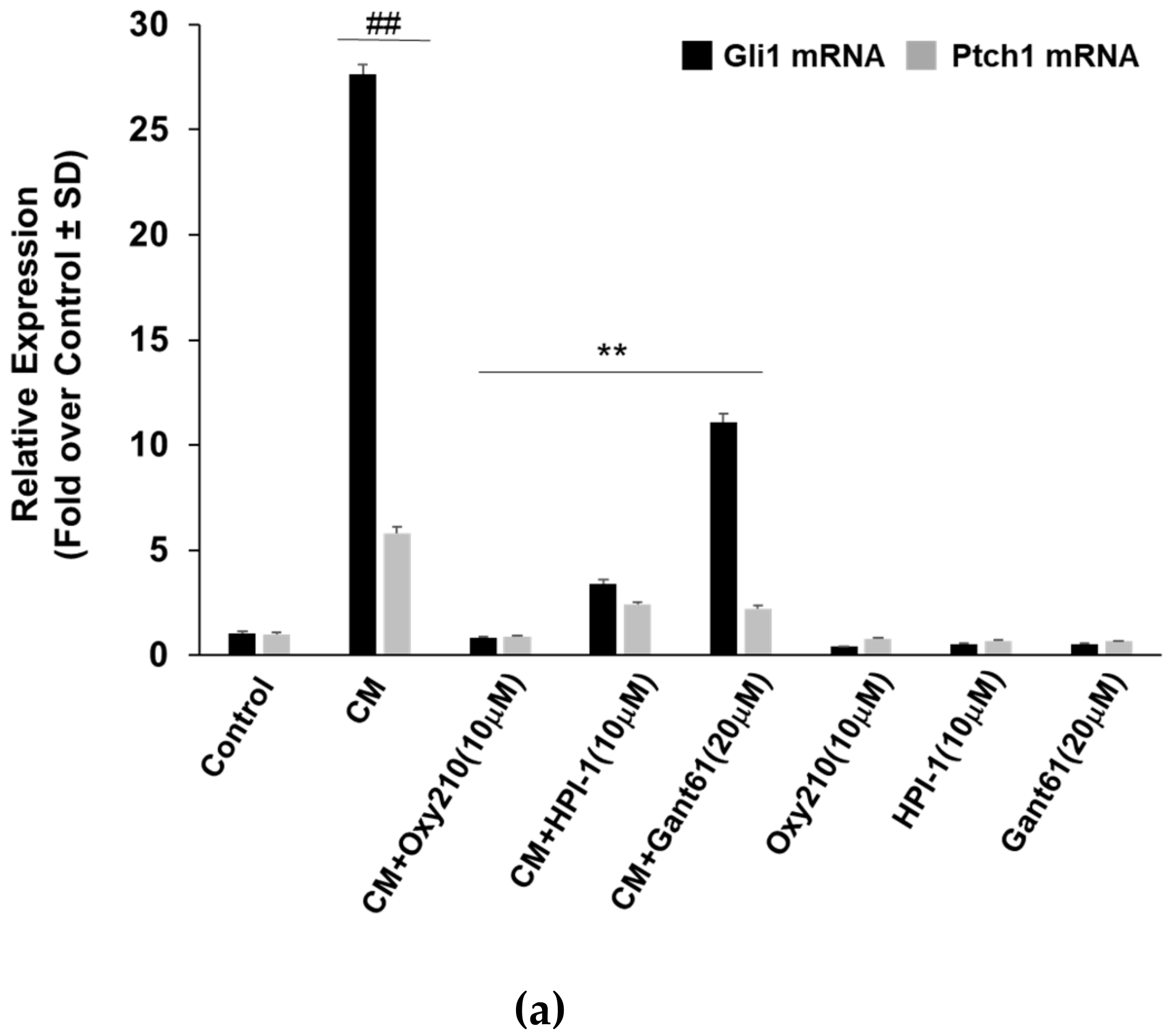 Cells 08 01297 g004a Cells 08 01297 g004a