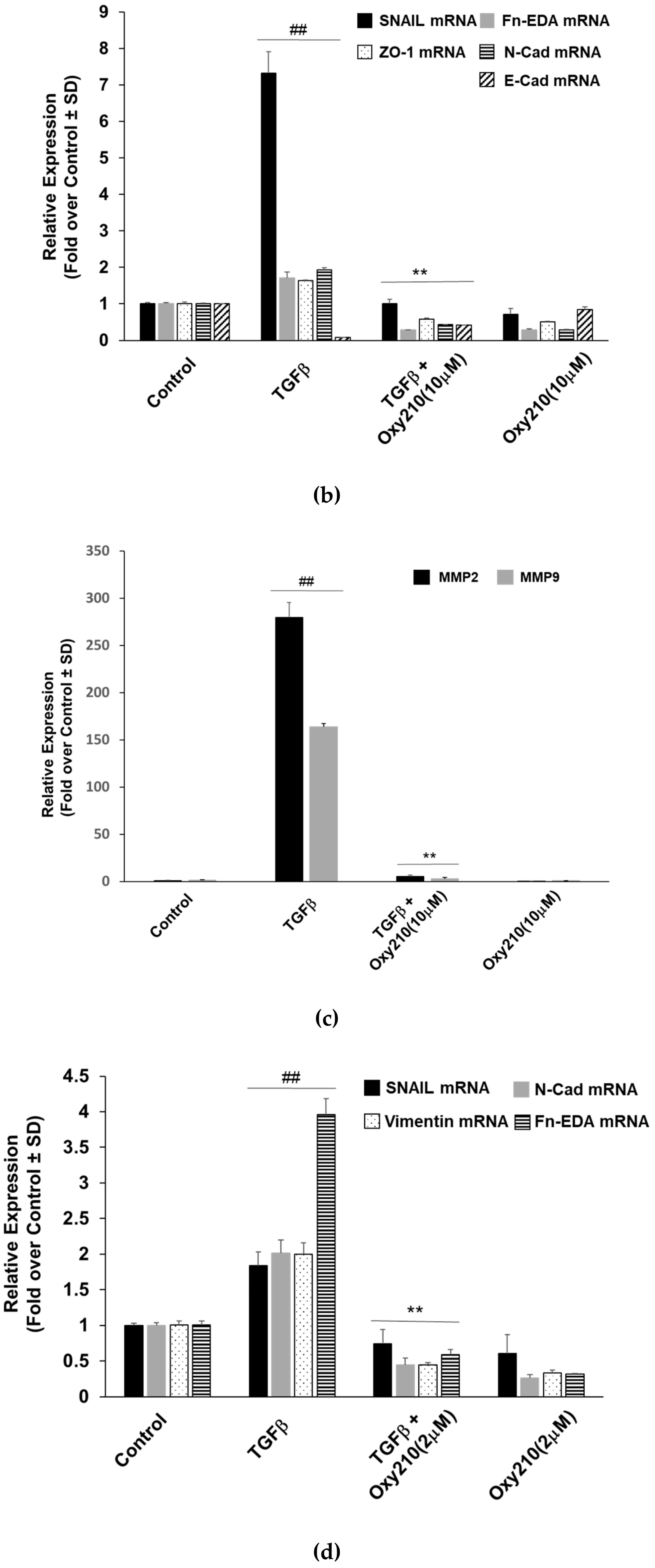 Cells 08 01297 g008b Cells 08 01297 g008b