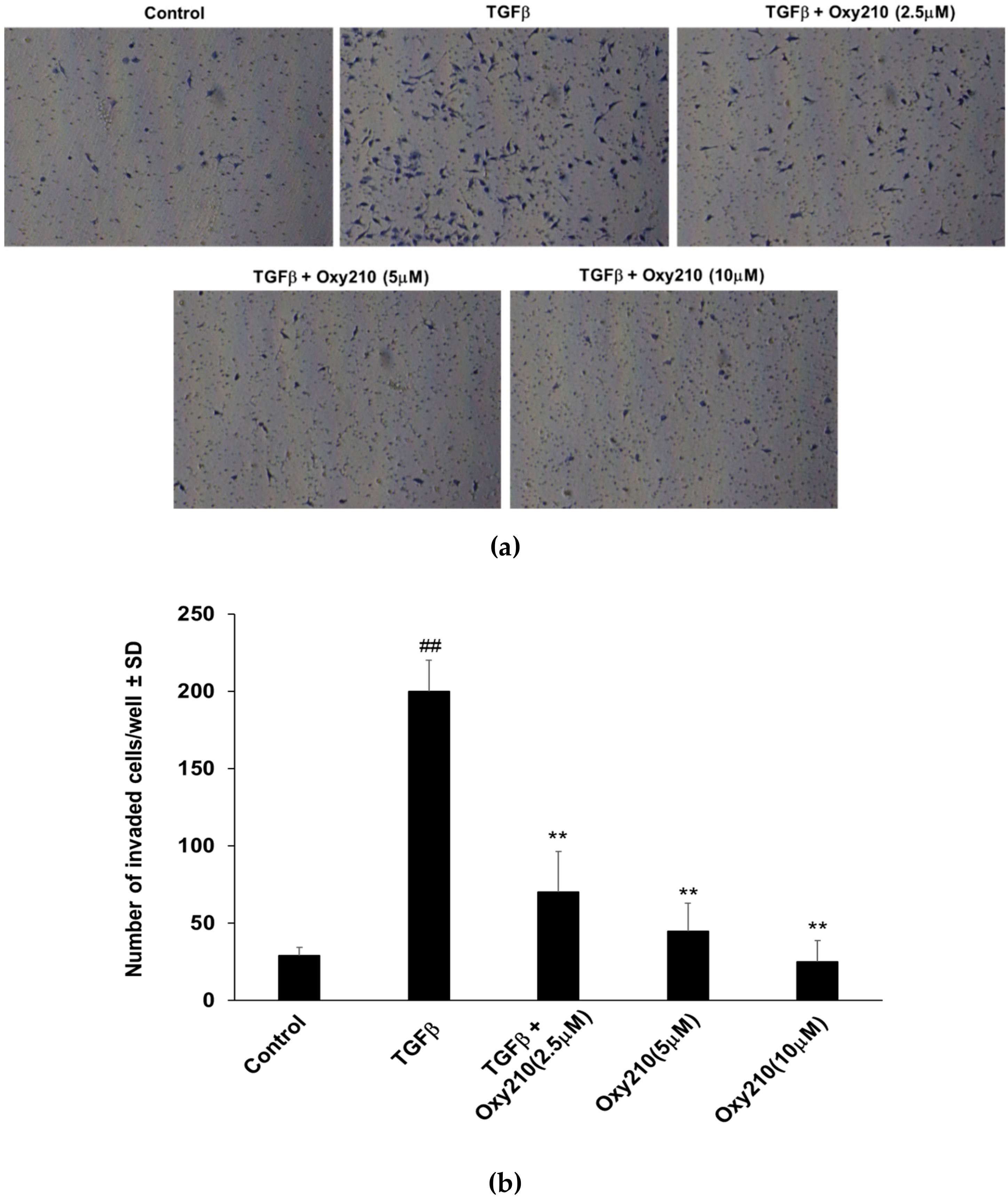 Cells 08 01297 g009 Cells 08 01297 g009
