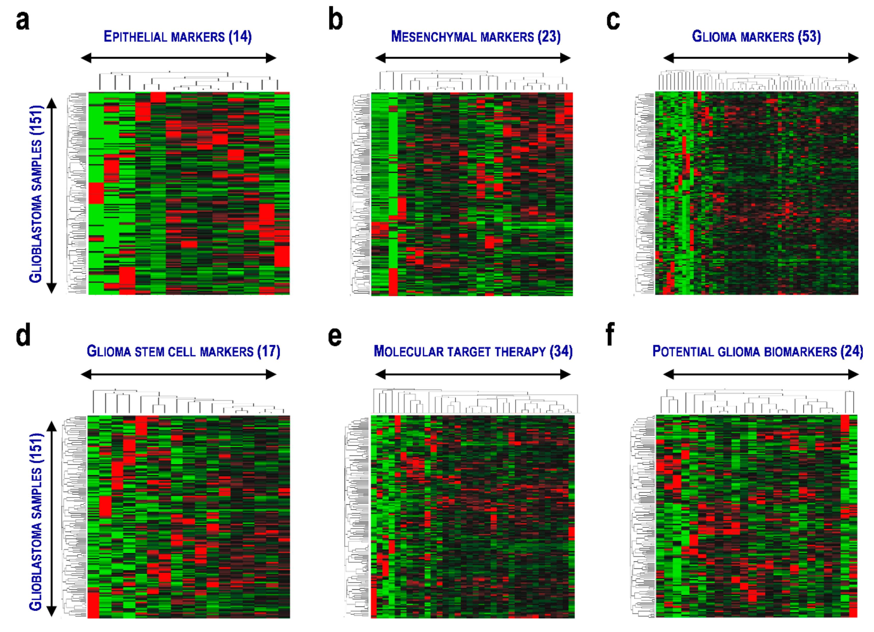 Cells 08 01312 g001 Cells 08 01312 g001