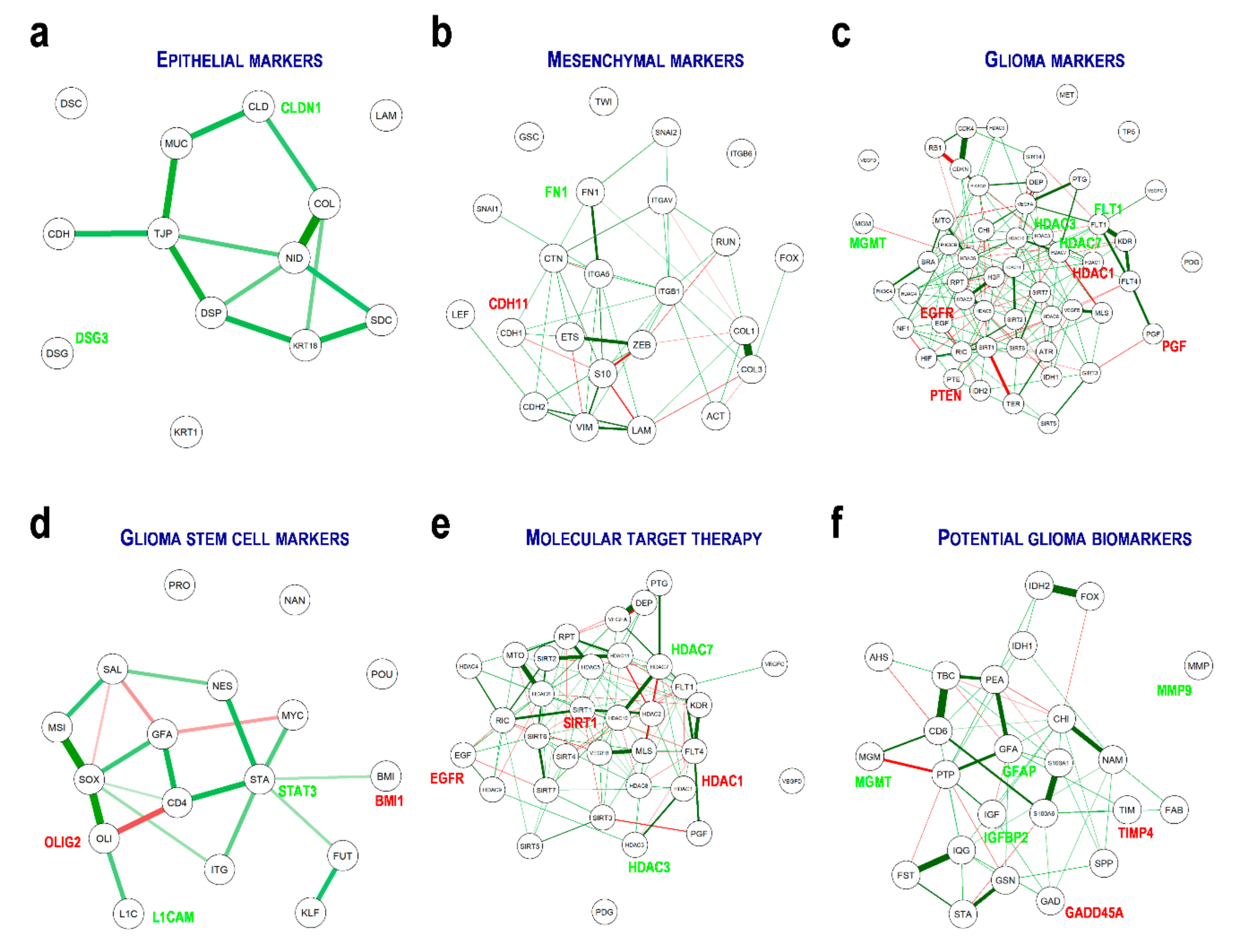 Cells 08 01312 g003 Cells 08 01312 g003